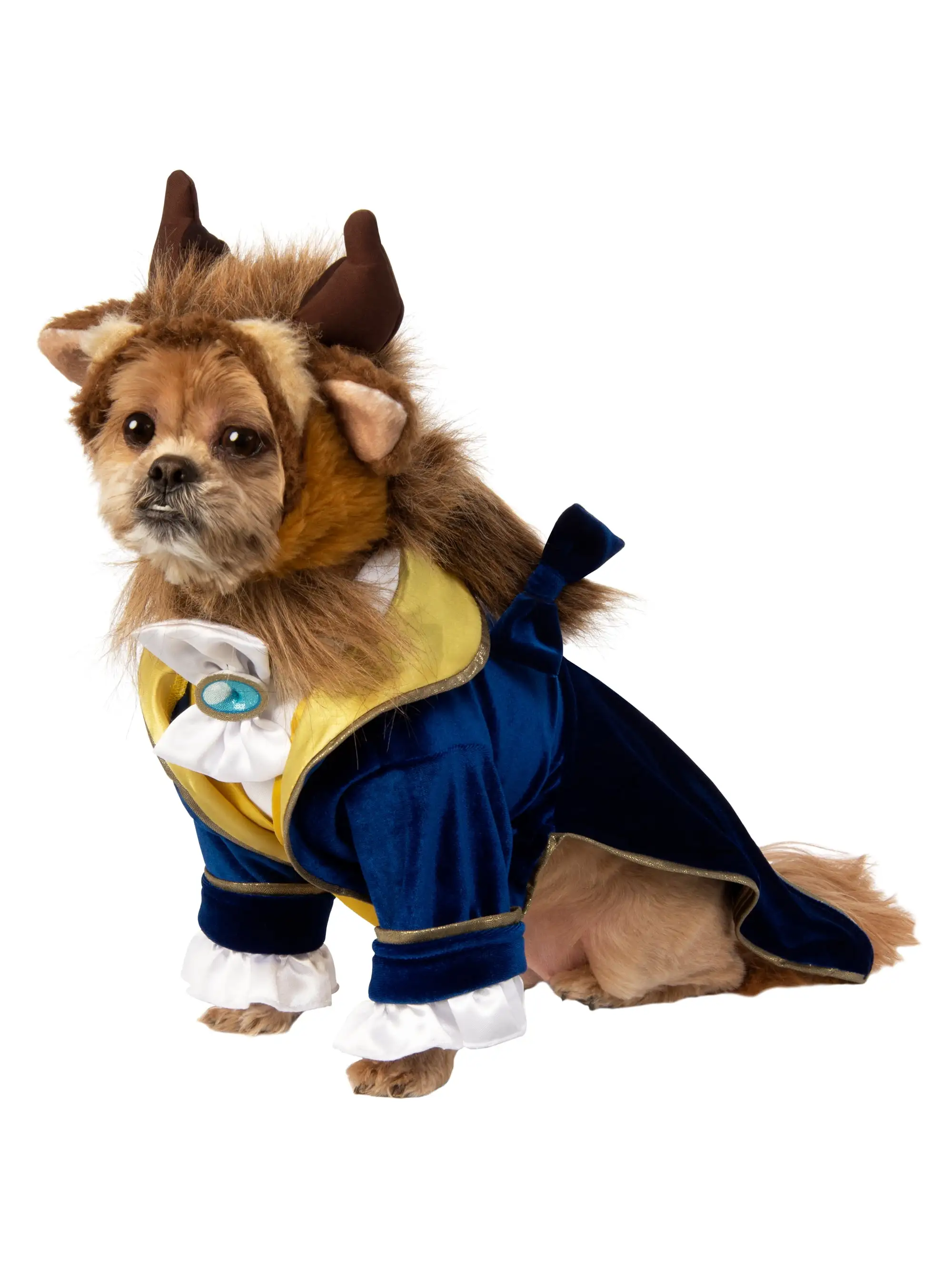 Pet Beauty and the Beast Beast Costume