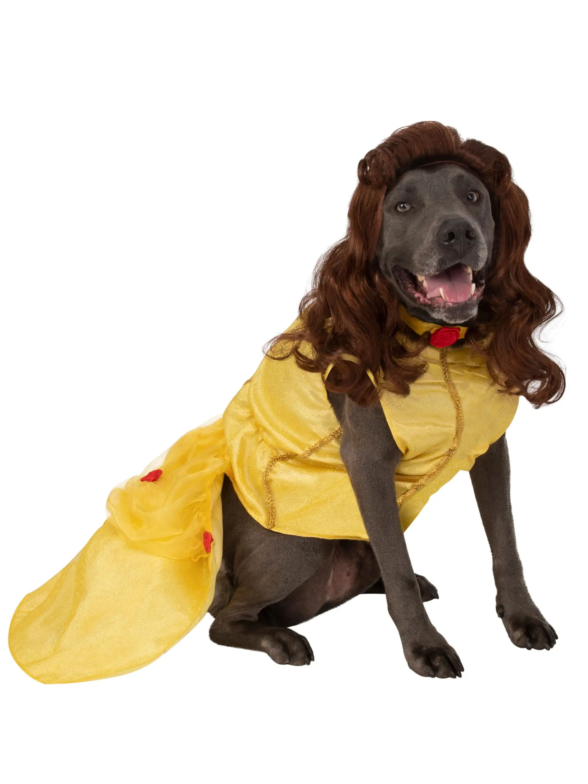 Pet Big Dogs Beauty and the Beast Belle Costume