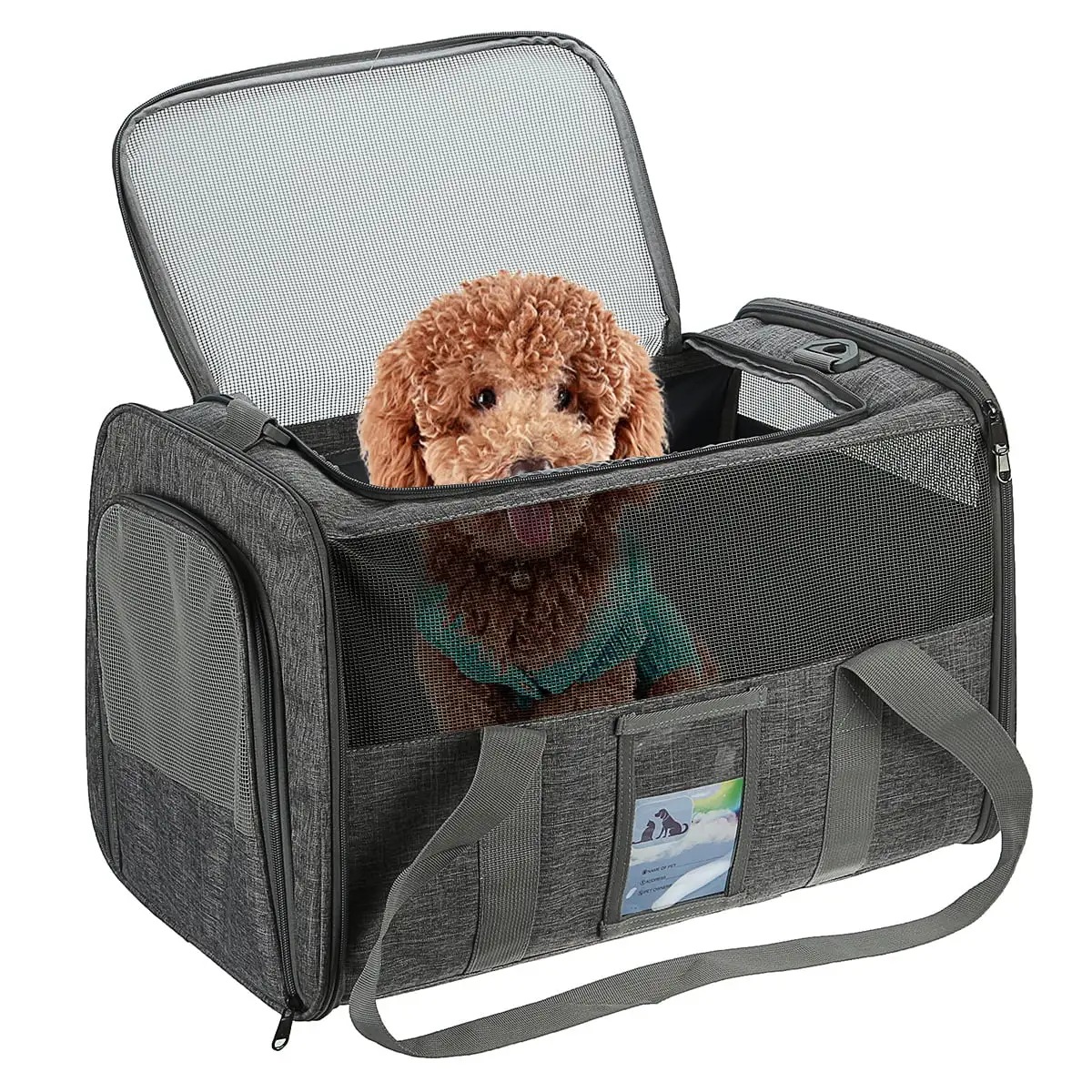 Pet Carrier Airline Approved. Soft-Sided Cat Carriers for Medium Cats Small Cats. Softy Dog Carriers for Small Dogs Medium Dogs