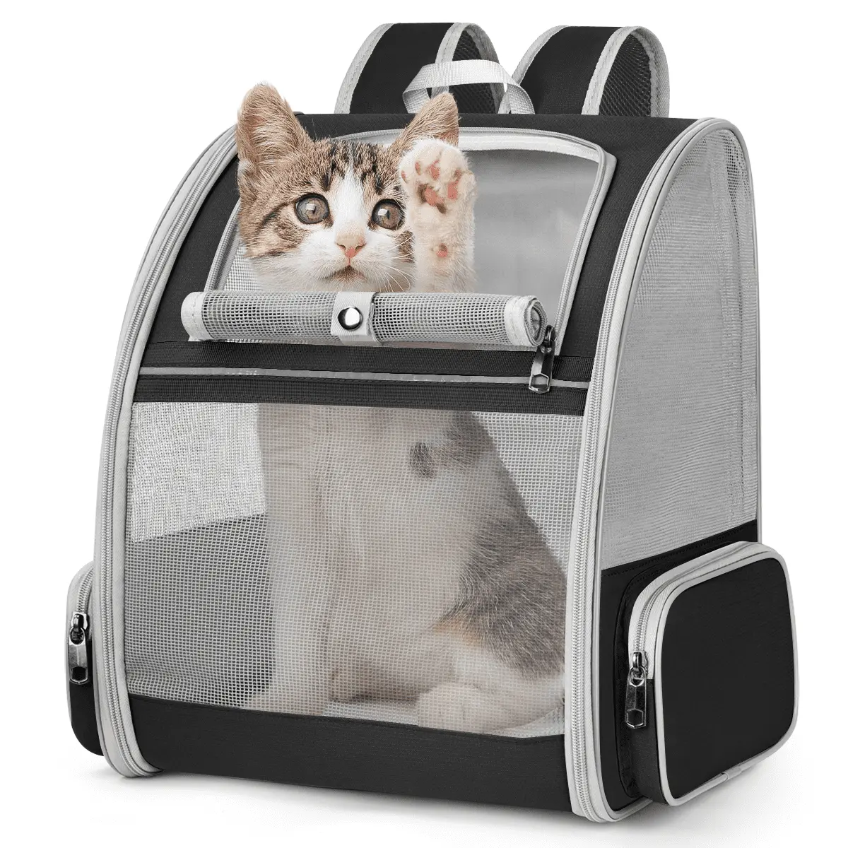 Pet Carrier Backpack Cat Backpack Carrier for Small Cats Dogs up to 18lbs. Airline-Approved Ventilated Foldable Dog Carrier Backpack with Safety Leash Side Snack Pocket for Outdoor. Black