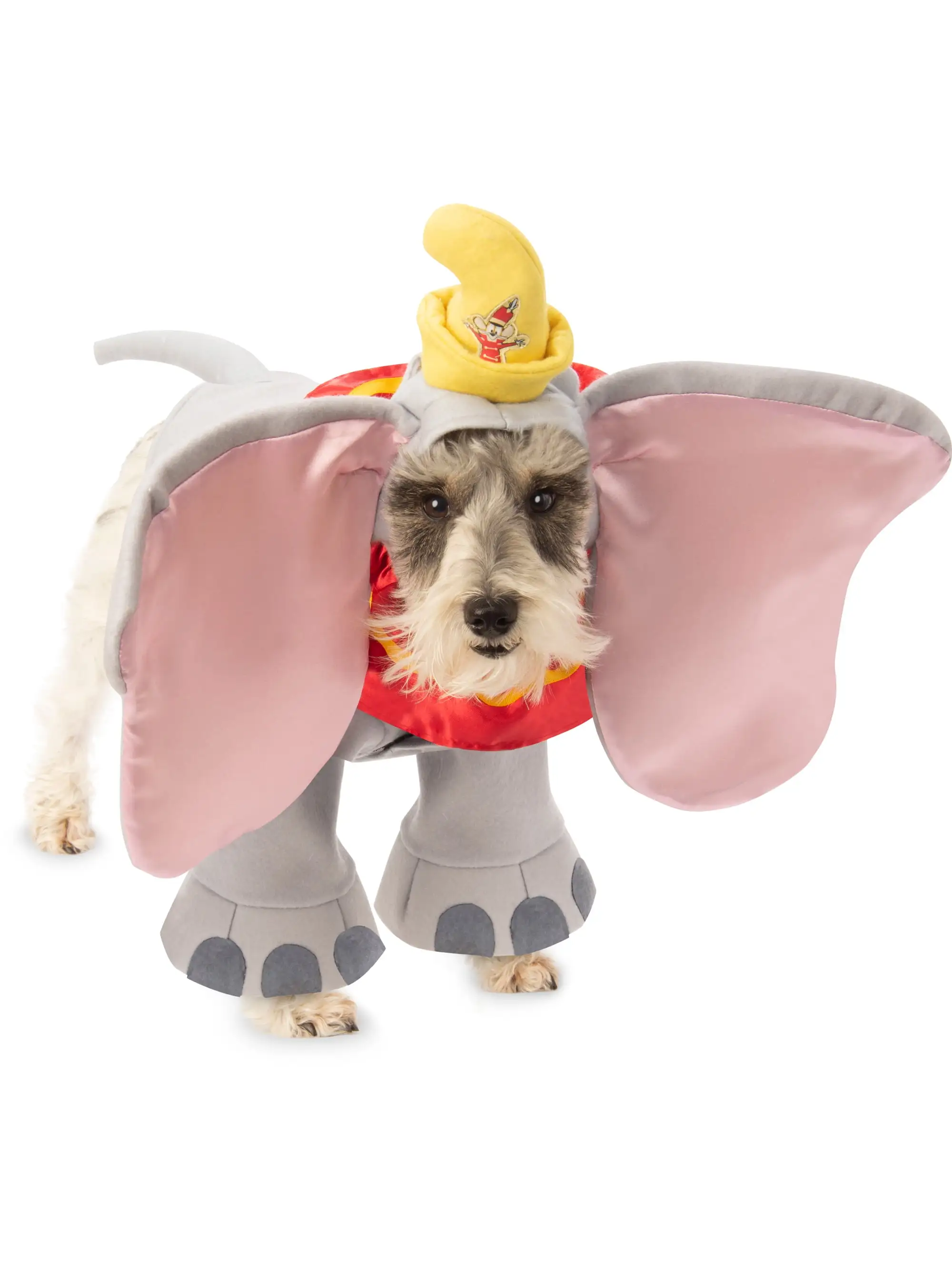 Pet Dumbo Costume