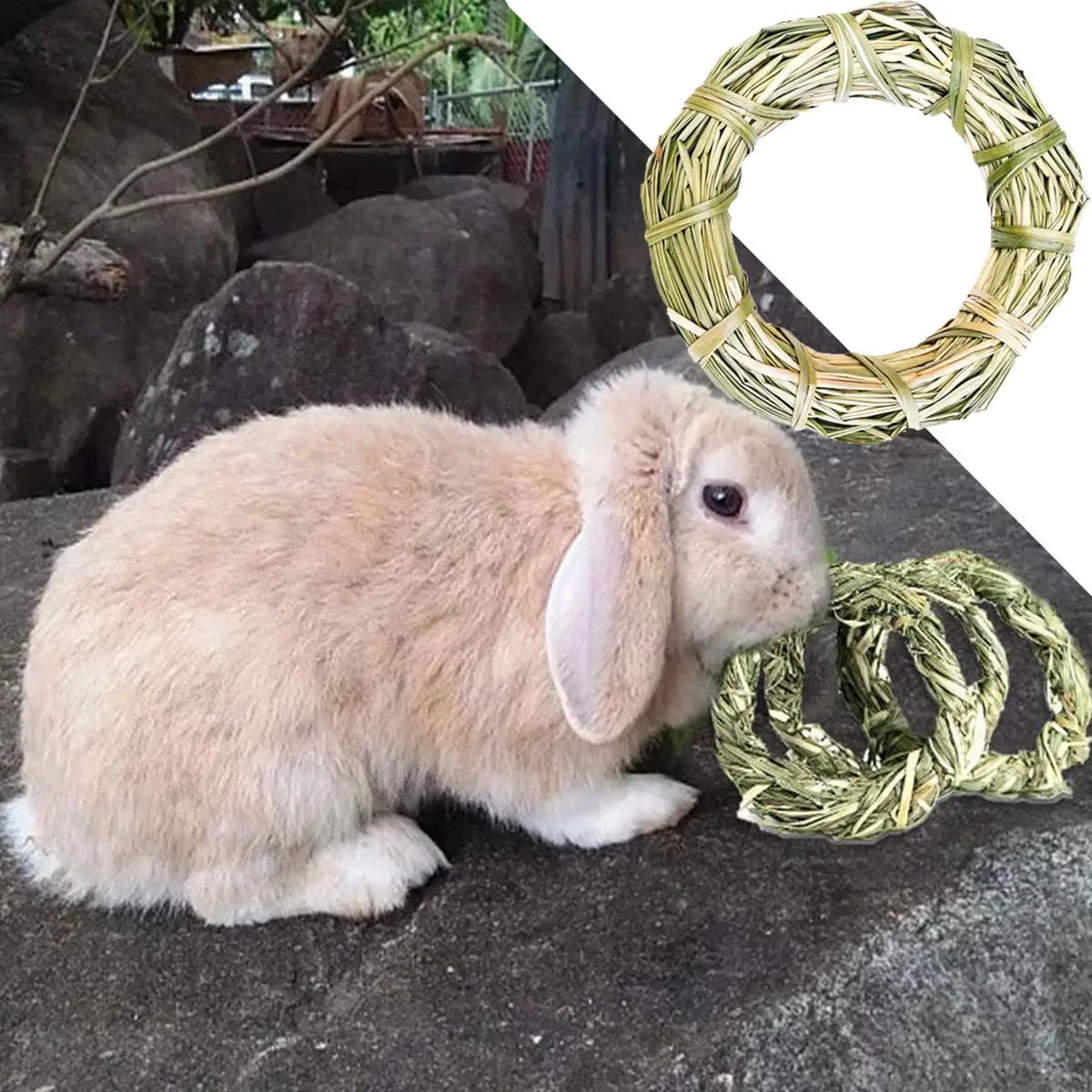 Pet Enjoy Rabbit Chew Toys Nature Grass Ring Toys for Teeth Care Gnawing Treats Toy for Hamsters Chinchillas Guinea Pigs Gerbils Rat Pet Cage Entertainment Accessories