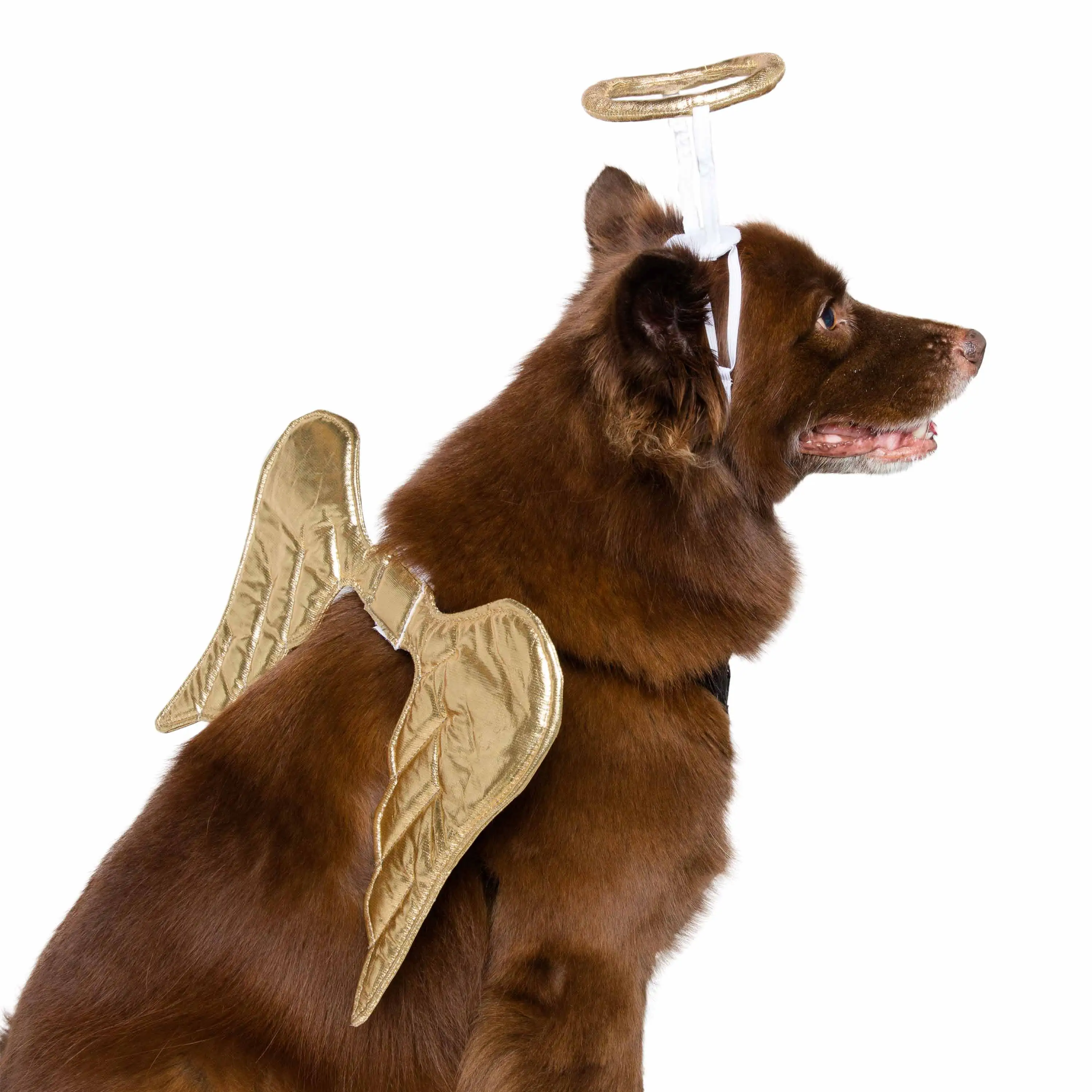 Pet Krewe Angel Dog Costume - Dog Angel Wings - Harness Attachment. One Size Fits All