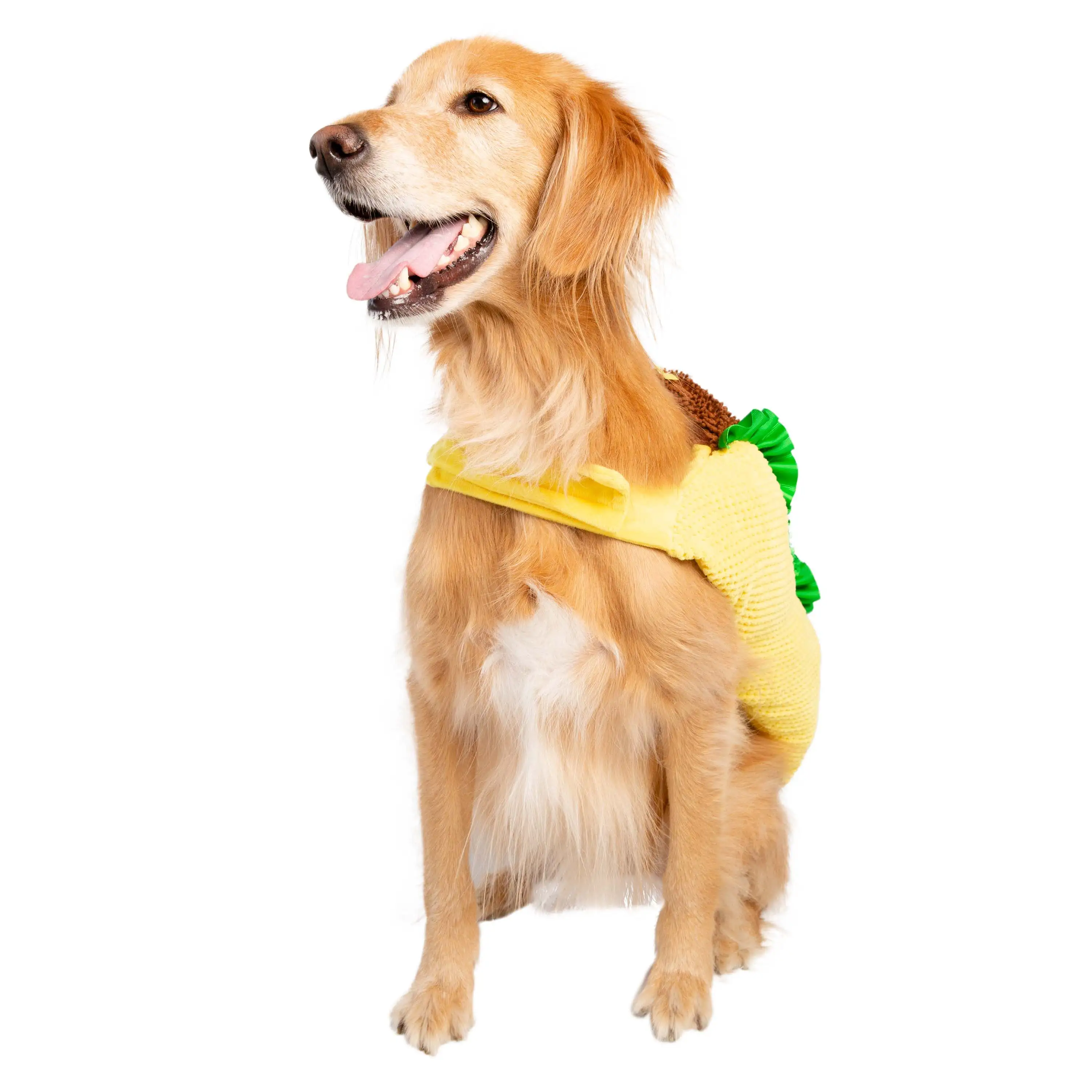 Pet Krewe Dog Taco Costume - Funny Food Halloween Pet Outfit Costumes for Small. Medium. Large Cats and Dogs. (Large)