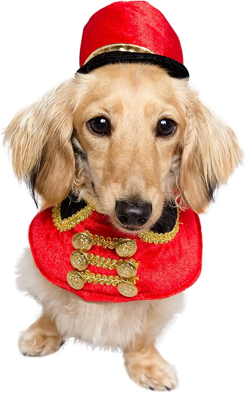 Pet Krewe Nutcracker Soldier Dog and Cat Costume Fits Small. Medium. Large or Extra Large - Perfect for Parties. Photoshoots. Gifts for Dog lovers (S)