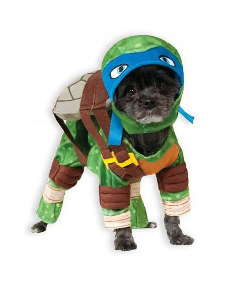 Pet Leonardo Costume