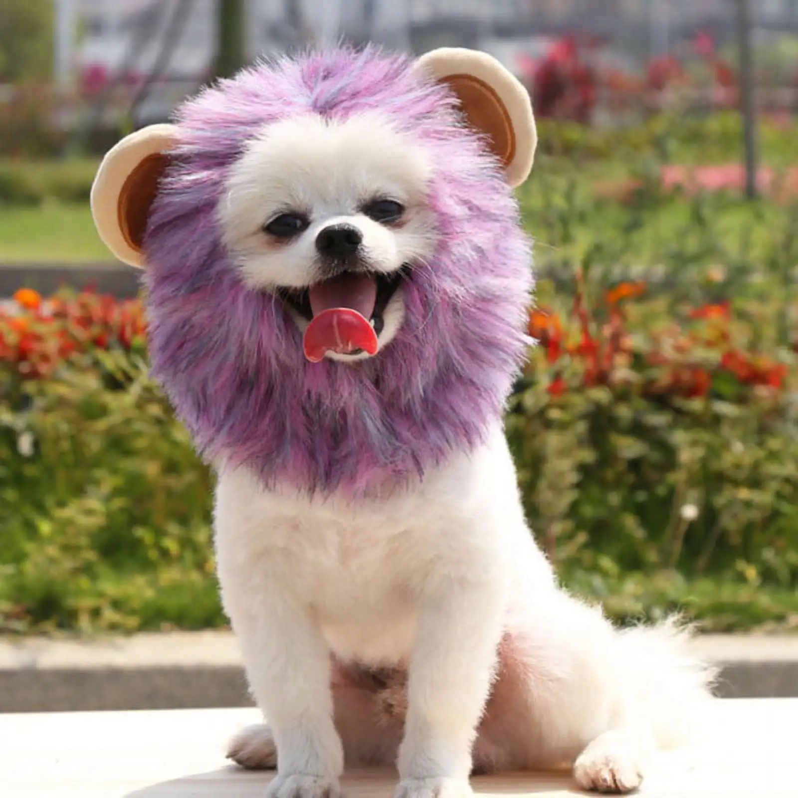 Pet Lion Mane Costume - Perfect for Halloween. Parties. Photo Shoots and Gifts for Cat Lovers. Purple. S