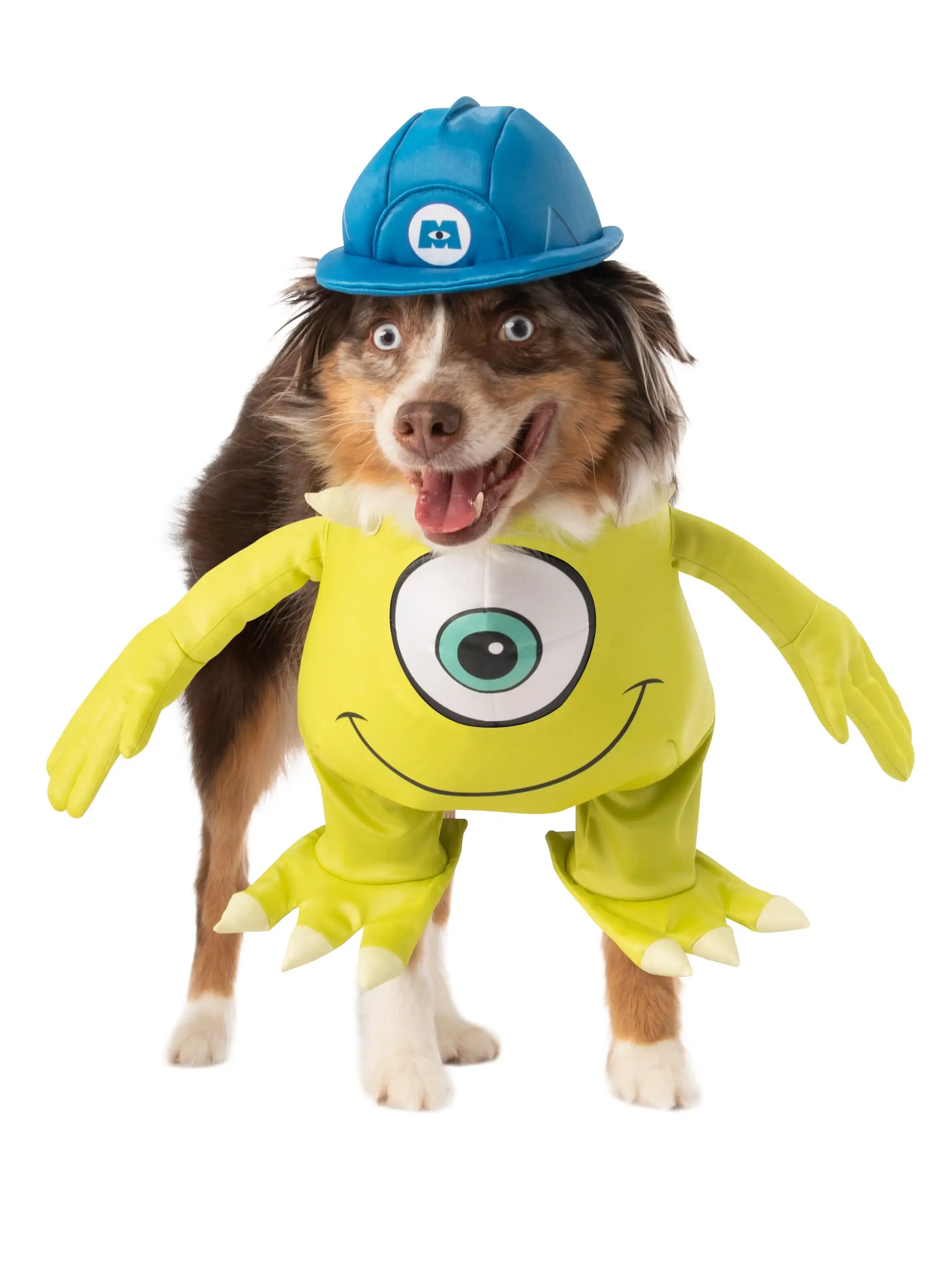 Pet Monsters Inc Mike Costume