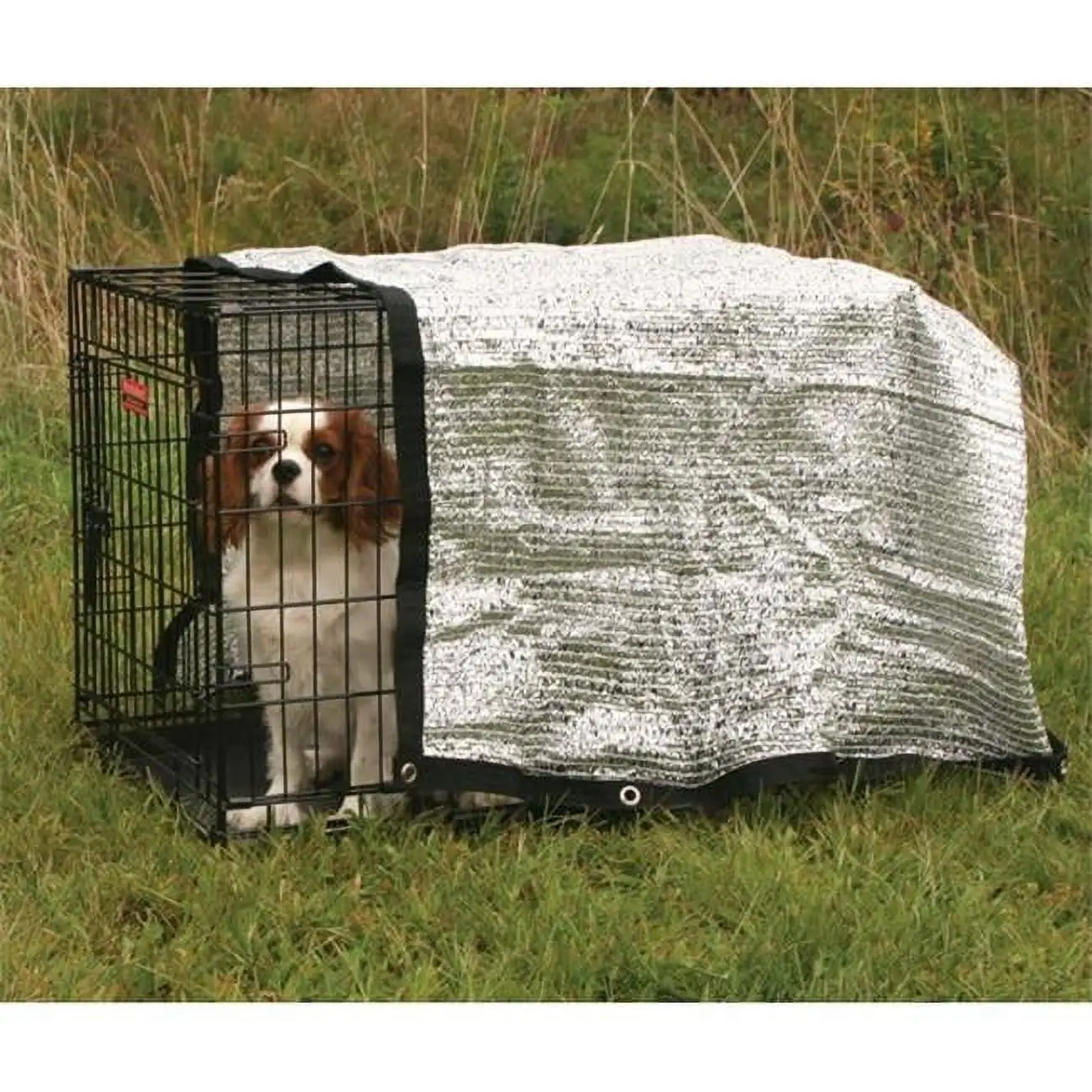 Pet Pals ZW726 06 ProSelect Solar Canopy 6 x 6 Ft