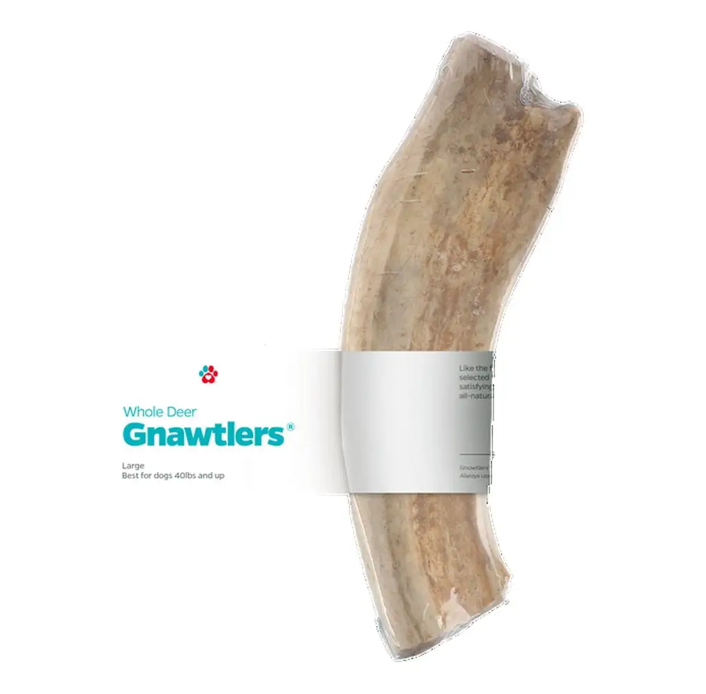 Pet Parents? Gnawtlers? Naturally Shed Deer Antlers. Deer Antlers for Dogs. Large