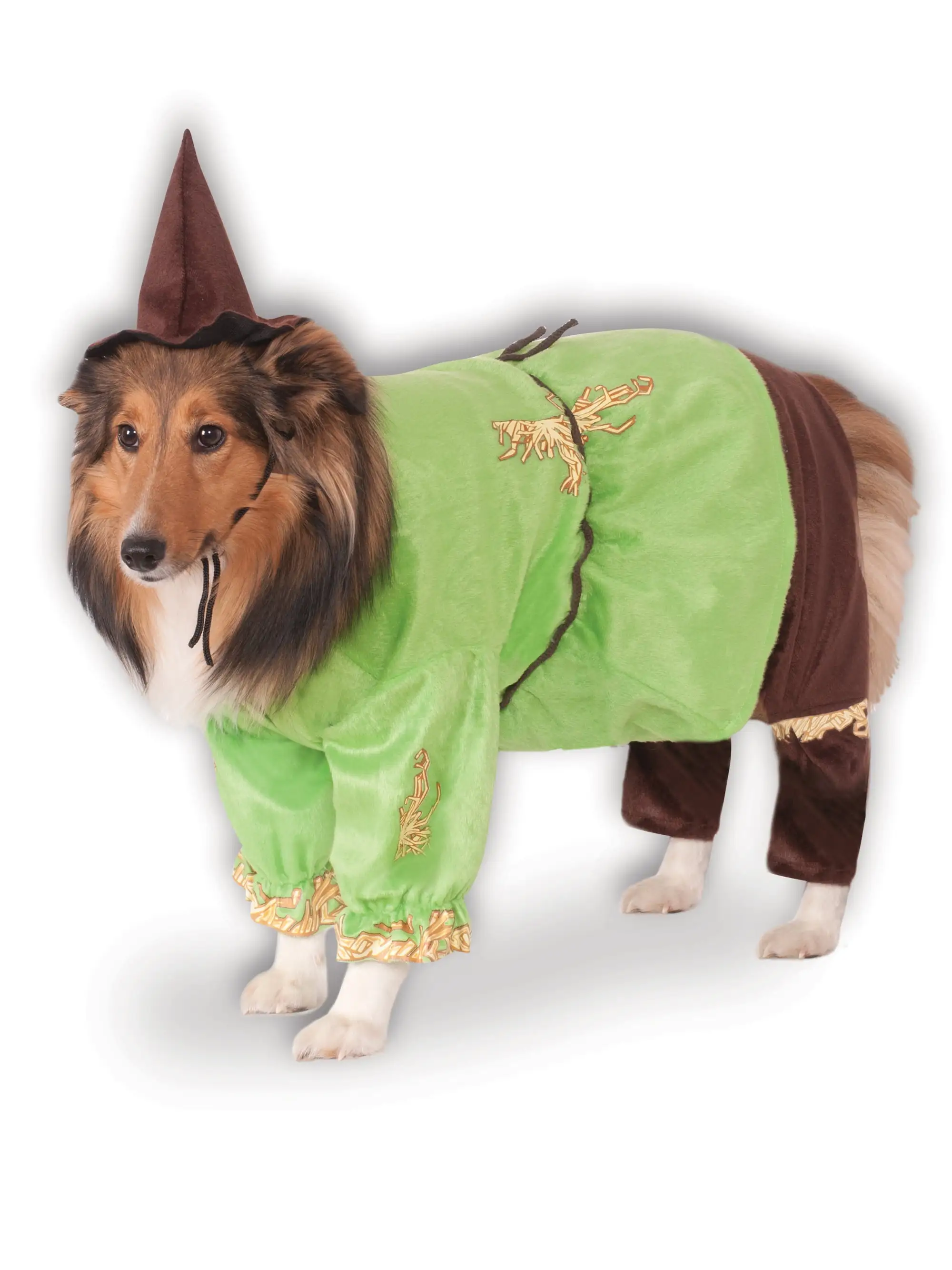 Pet Scarecrow Costume Wizard of Oz