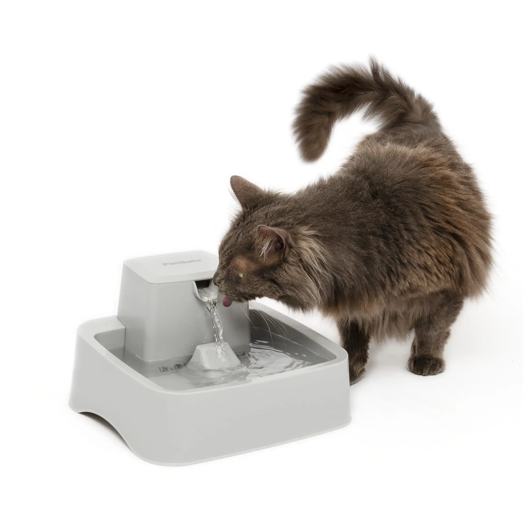 PetSafe Drinkwell 1/2 Gallon Pet Fountain. Dog and Cat Automatic Water Bowl - For Small Pets