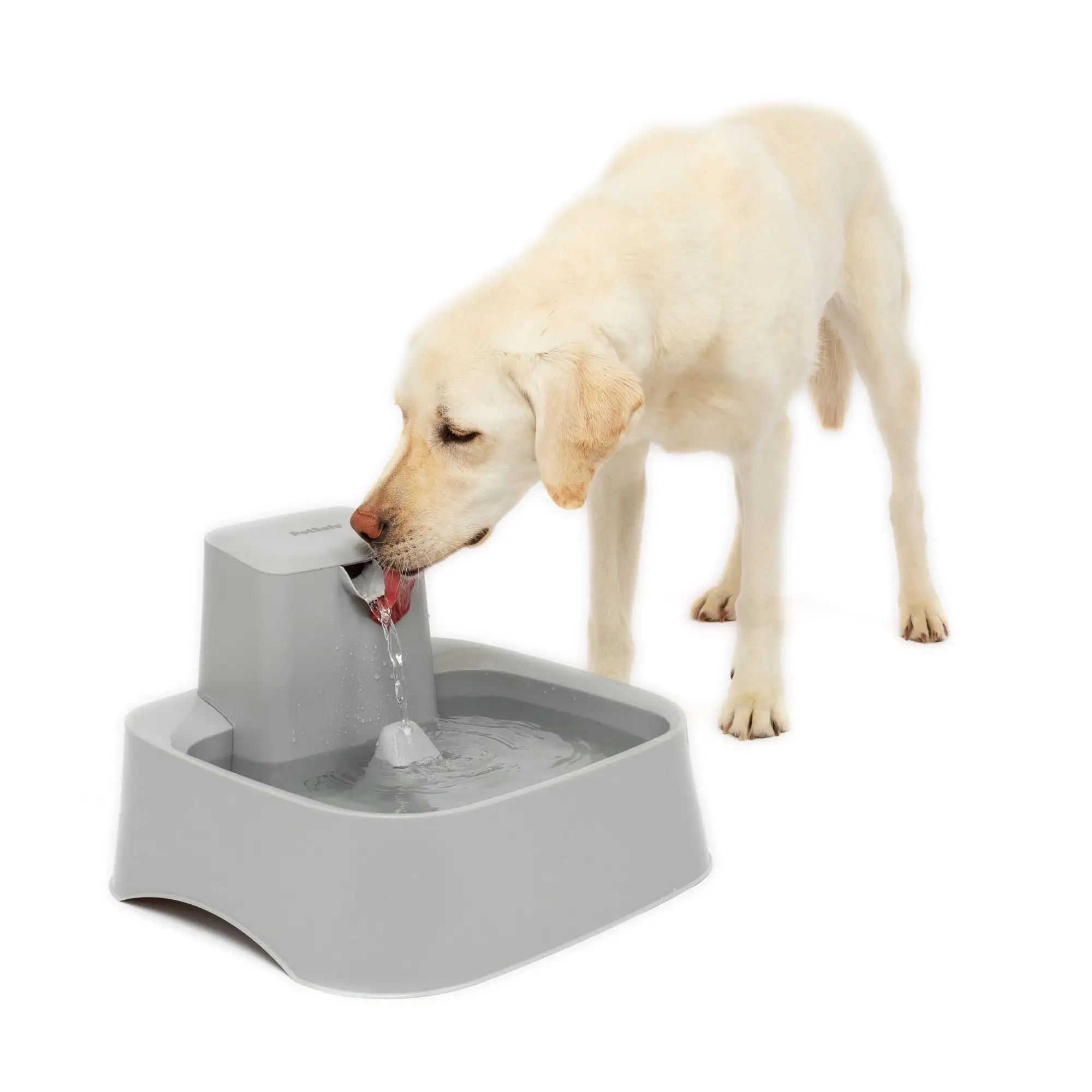 PetSafe Drinkwell 2 Gallon Fountain - Automatic Water Bowl for Large Dogs