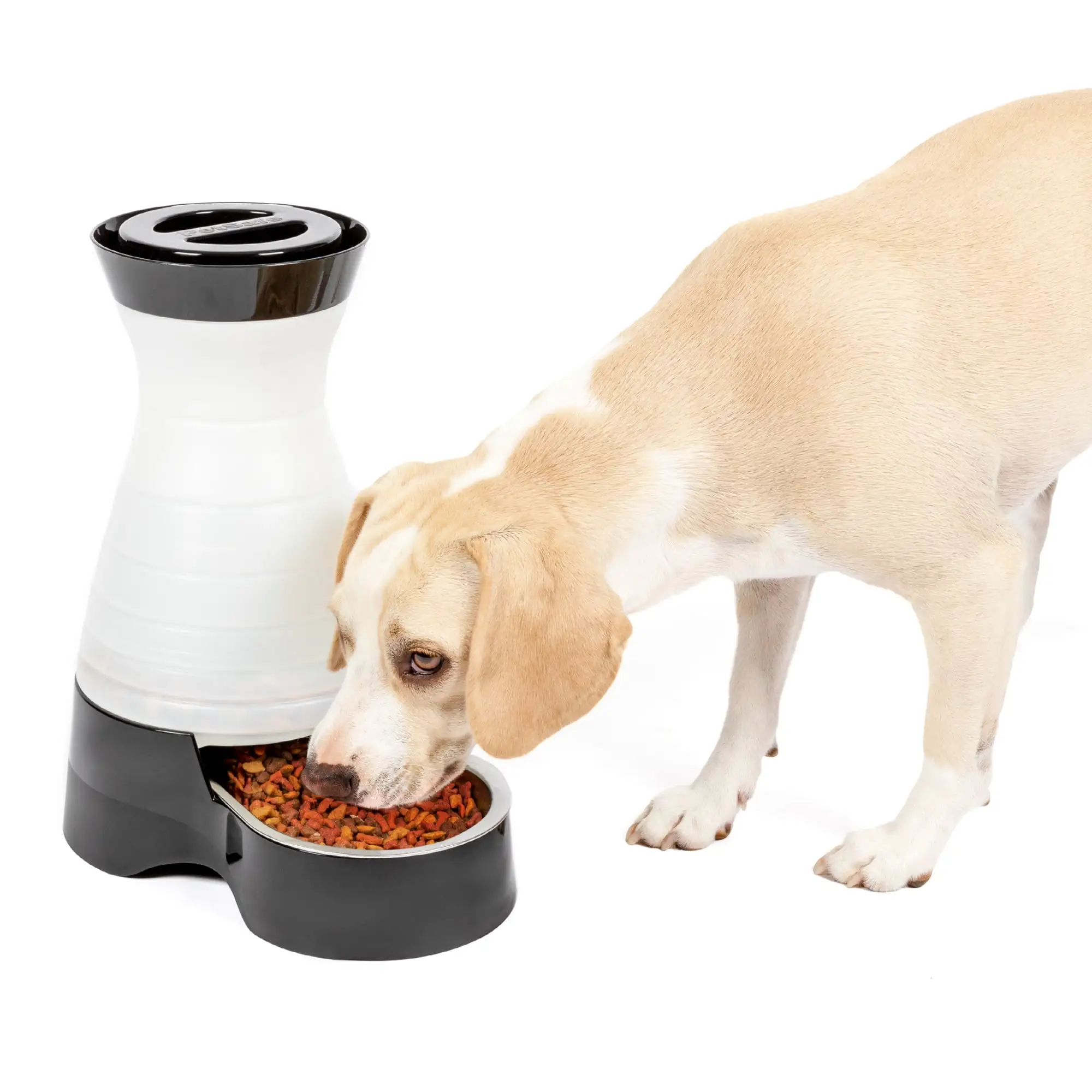 PetSafe Healthy Pet Food Station. Medium