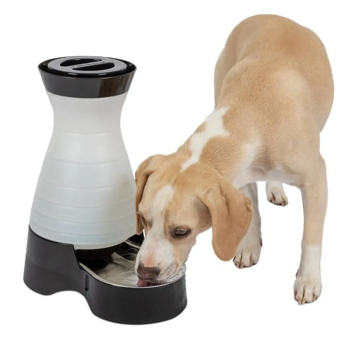 PetSafe Healthy Pet Water Station. Dog and Cat Water System with Stainless Steel Bowl. Medium. 128 oz.