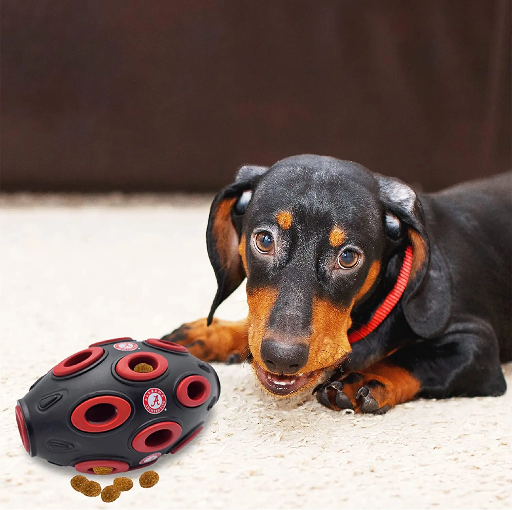 Pets First NCAA Football Treat Dispensing Toy for Dogs and Cats. Rubber Ball Toy