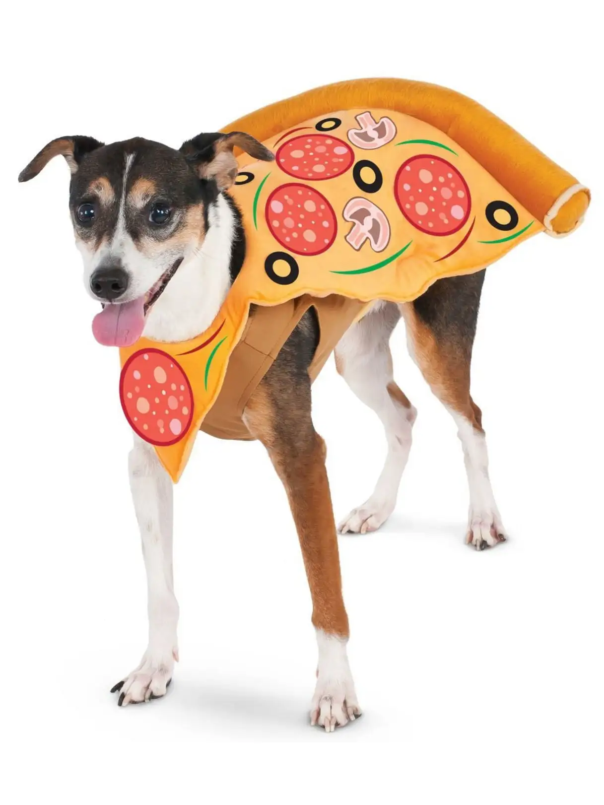 Pizza Slice Pet Costume Medium