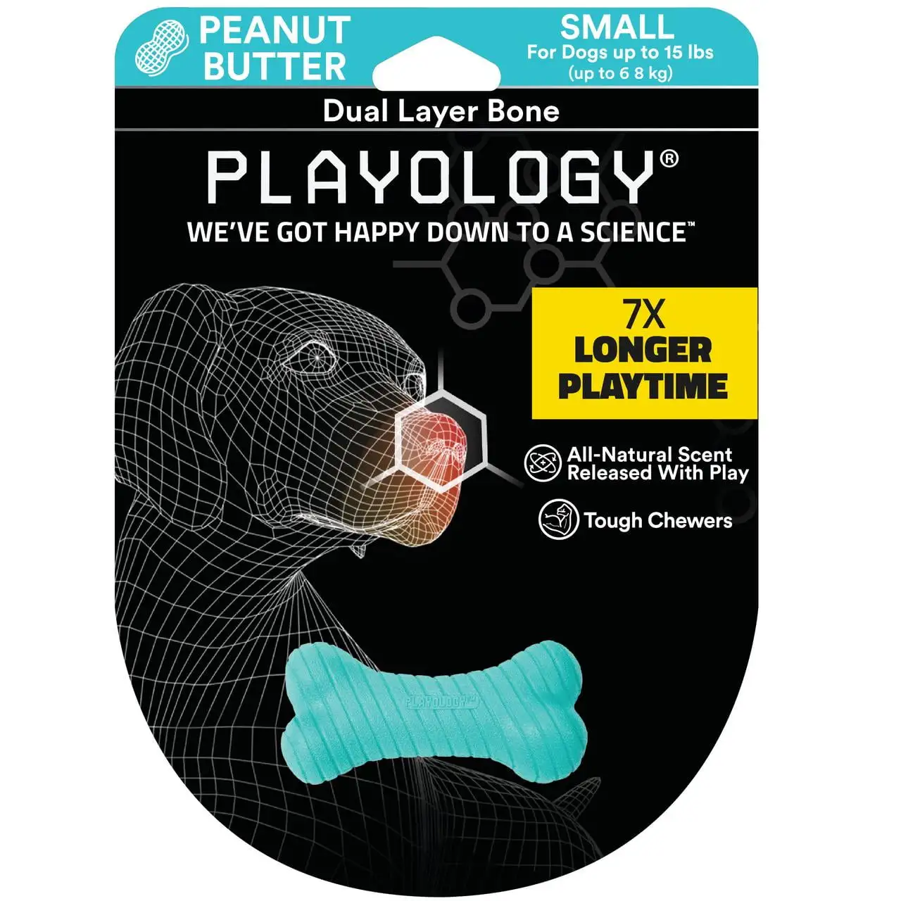 Playology Dual Layer Dog Bone Toy. All-Natural Peanut Butter Scent. Small. Blue.