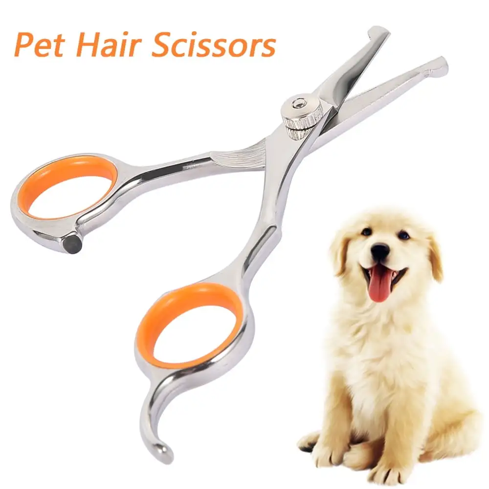 Pluokvzr Professional Pet Grooming Scissors with Round Tip Stainless Steel Dog Eye Cutter for Dogs and Cats. Professional Grooming Tool