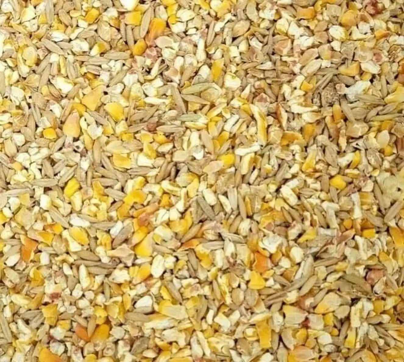 Premium Scratch Grains Bird Feed Corn Sunflower Wheat Oat Barley Milo and Millet