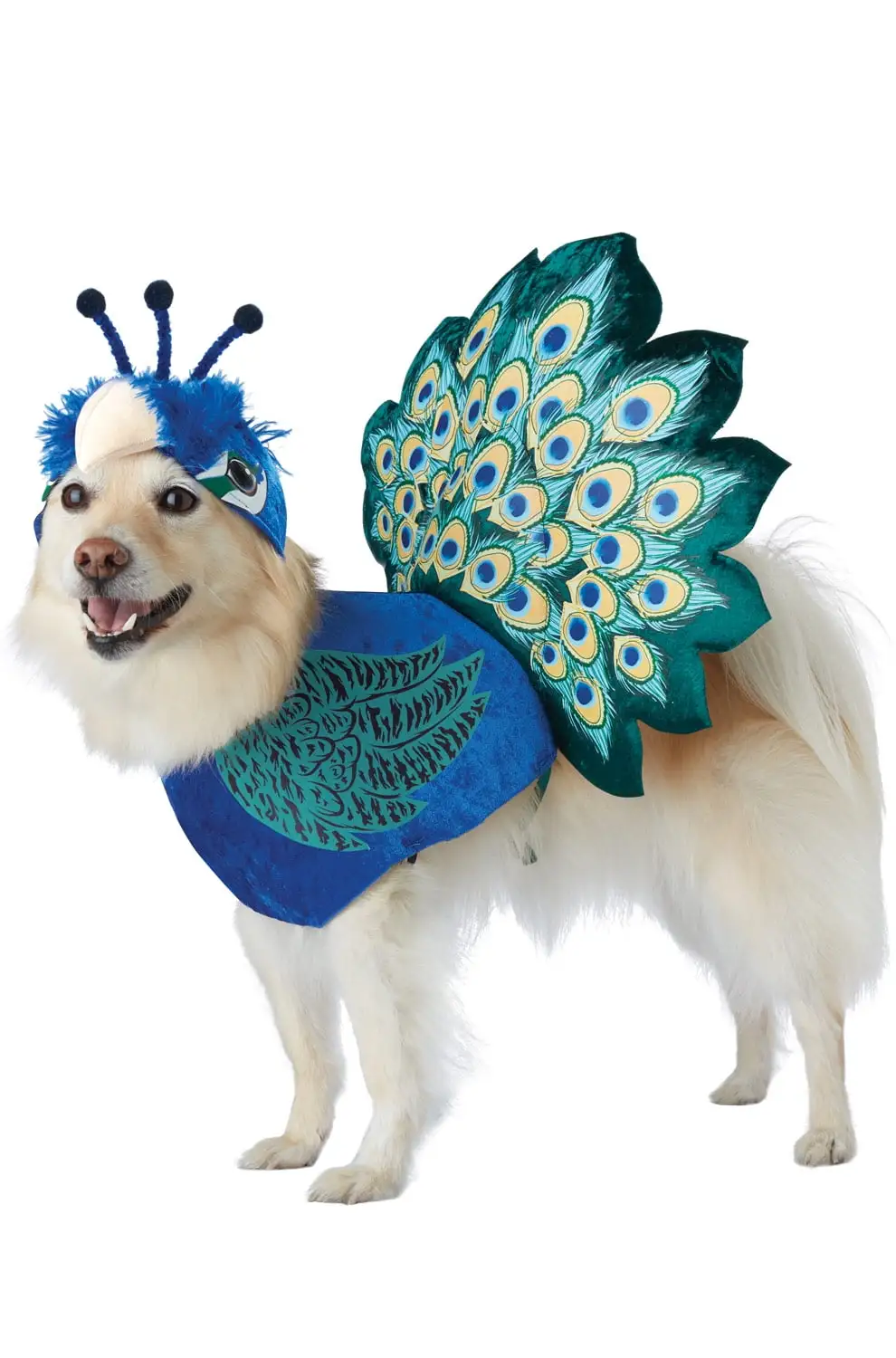 Pretty as a Peacock Pet Costume