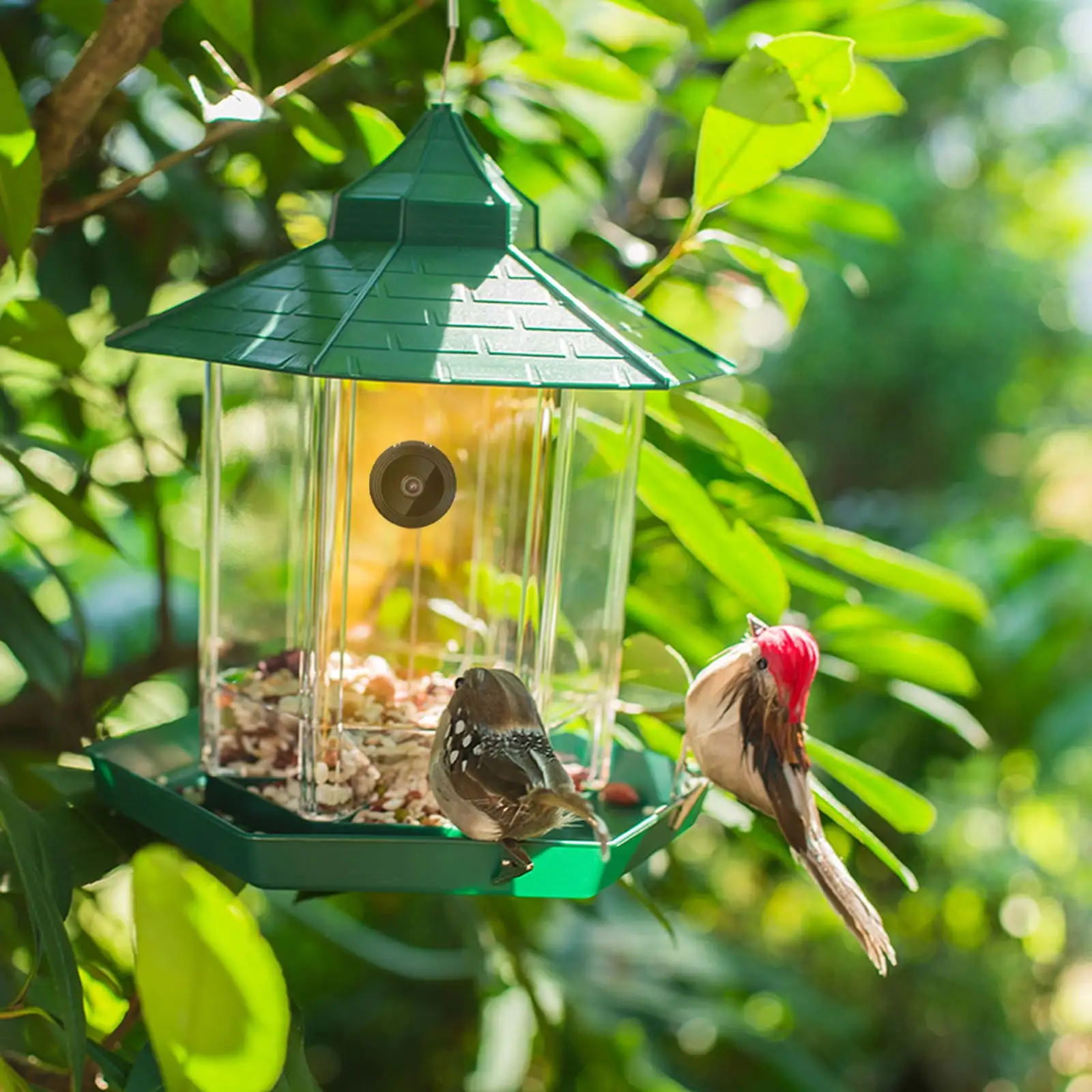 Pretxorve Bird Feeder with Camera HD 1080P Camera WiFi Remotely Connects To Mobile Phone To See Bird Outdoor Photos for Bird Enthusiasts Green