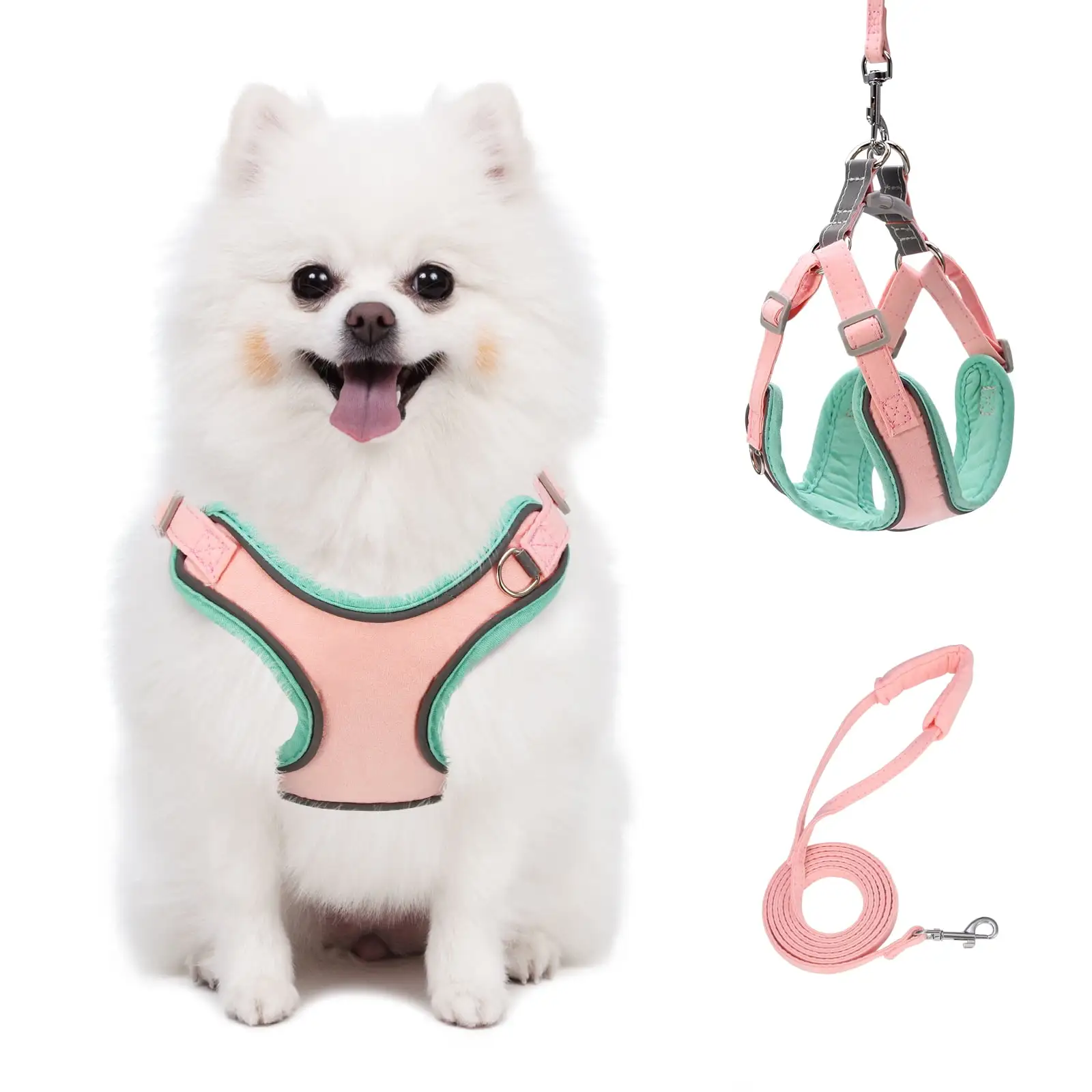 Puppy Harness and Leash Set - Dog Vest Harness for Small Dogs Medium Dogs- Adjustable Reflective Step in Harness for Dogs - Soft Mesh Comfort Fit No Pull No Choke. XXS