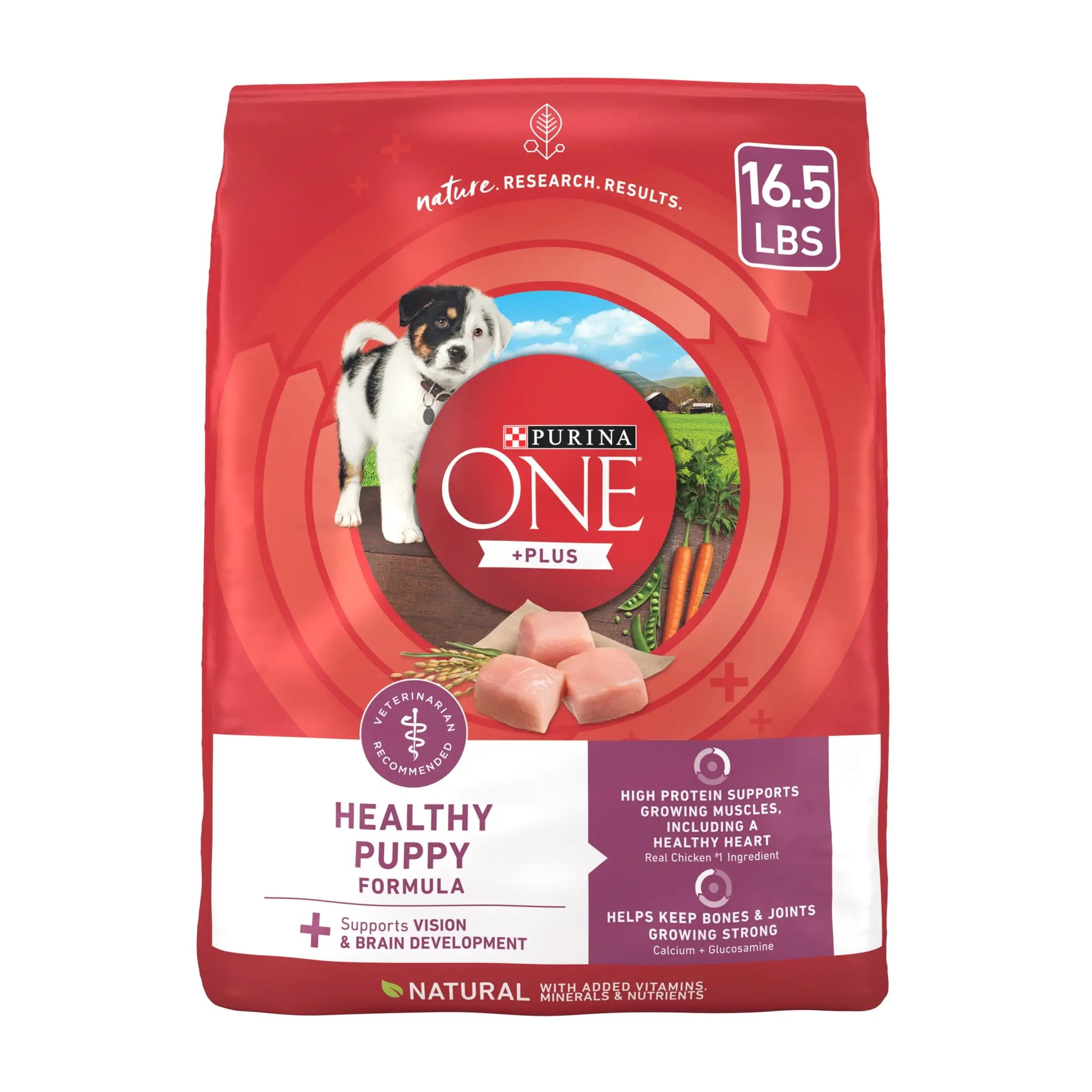 Purina One +Plus Healthy Puppy Dry Dog Food High Protein. Real Chicken. 16.5 lb Bag