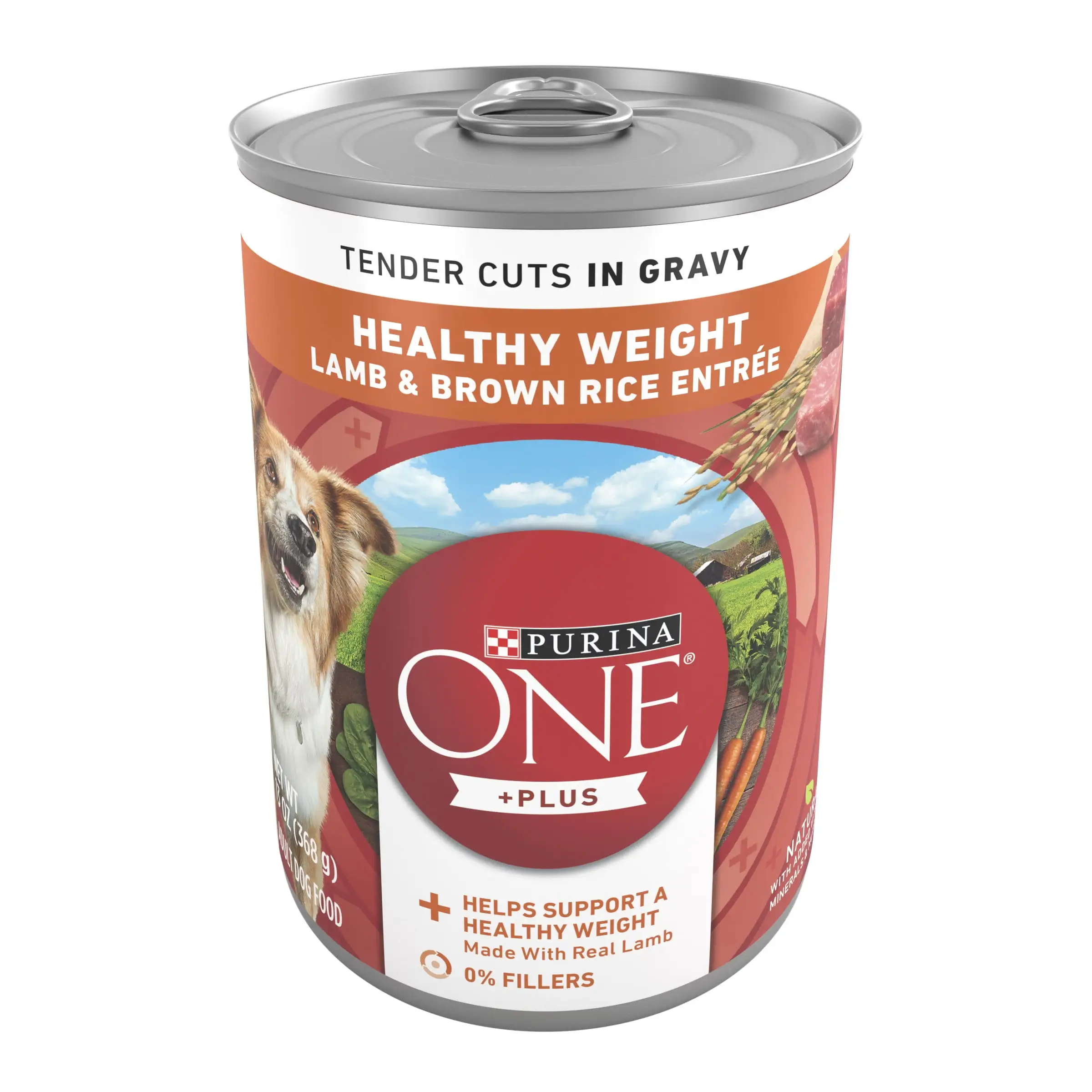 Purina One +Plus Lamb and Brown Rice Wet Dog Food. 13 oz Can