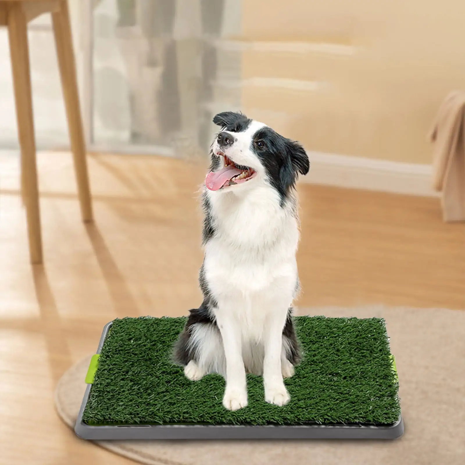 Quinlirra Clearance Grass Pad for Dogs Indoor Outdoor. Soft and Realistic Artificial Dog Grass Pee Pad for Puppy Potty Training. Fake Grass Turf. Easy to Clean