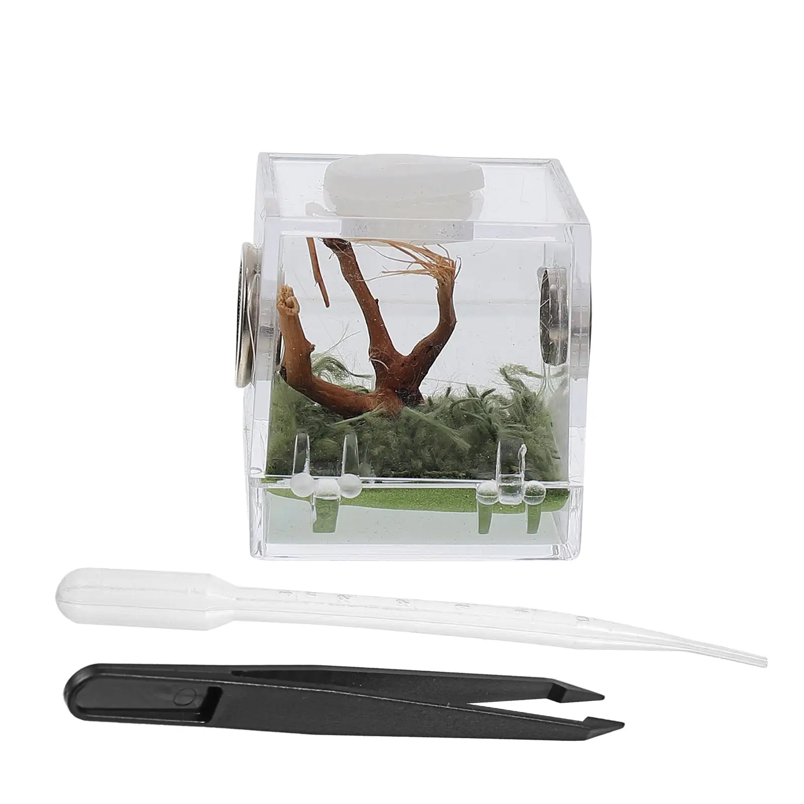 Qumonin Acrylic Reptile Terrarium for Snails & Spiders