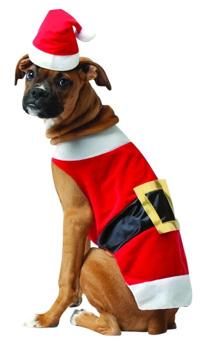 Rasta Imposta GC5027XS Santa Dog Costume