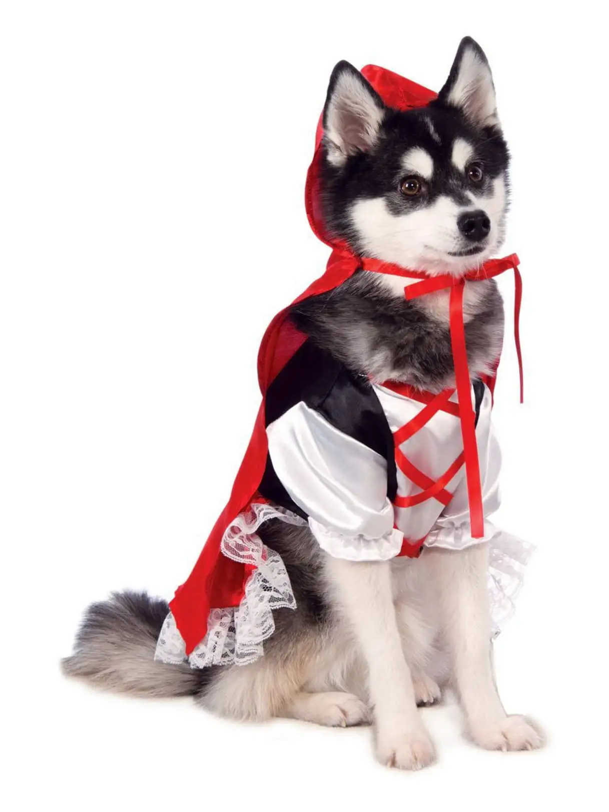 Red Riding Hood Pet Costume