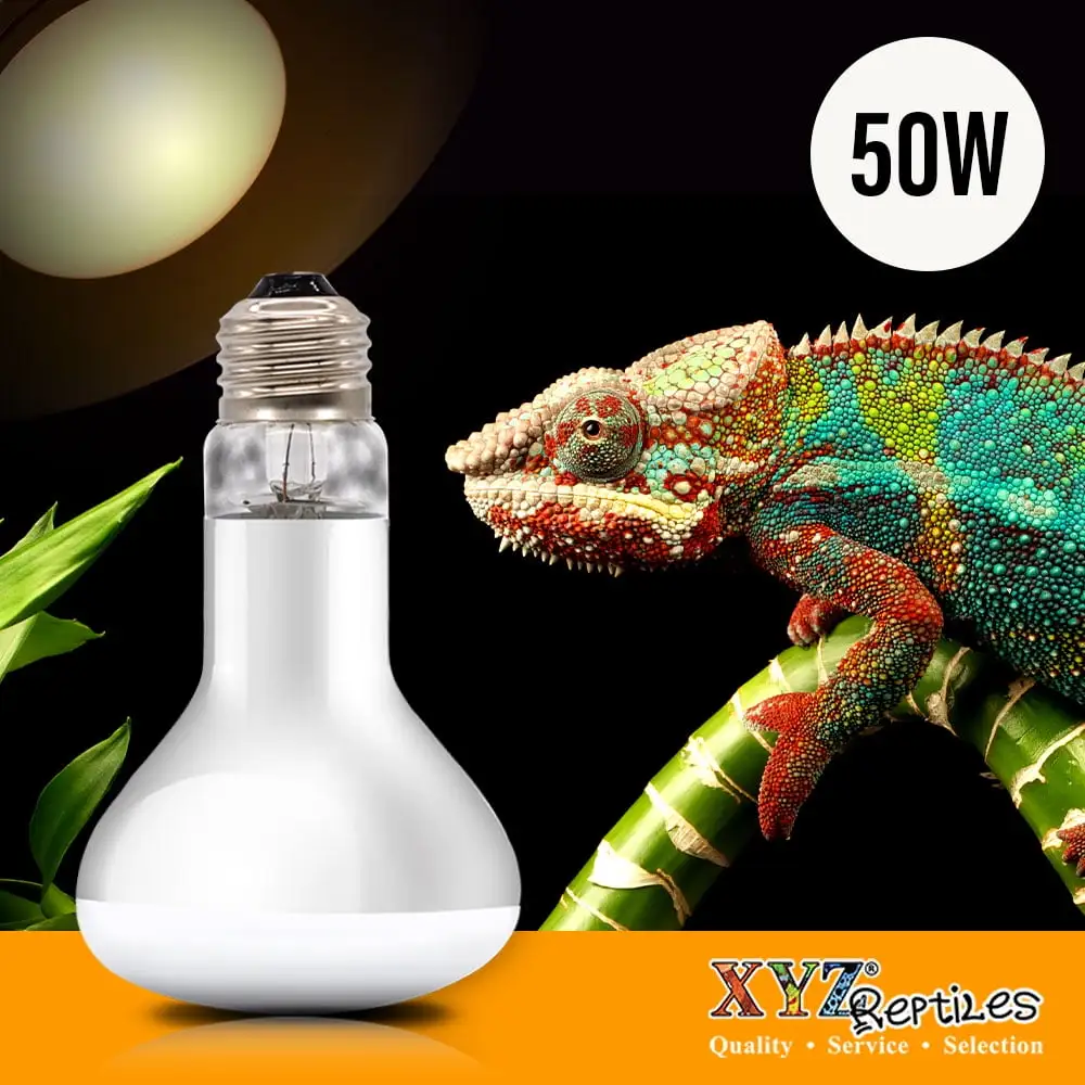 Reptile Heat Lamp Bulb 50 Watt