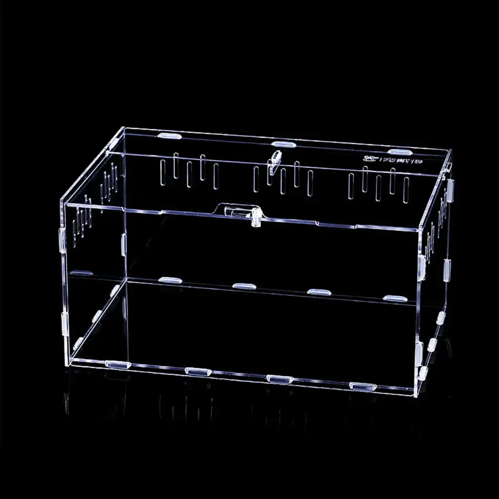 Reptiles Feeding Box Acrylic Terrarium Containers for Spiders Lizards Portable Small Pet Anti-escape Habitat