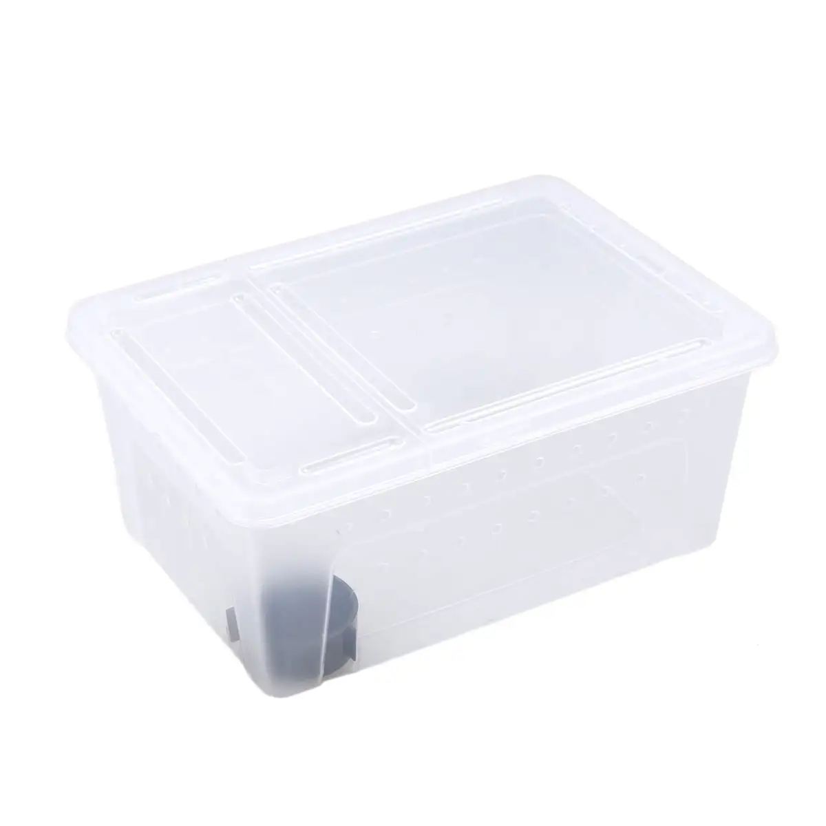 Reptiles and Amphibians Breeding Box Plastic Storage Case Feeding Hatching Container for Spider Scorpion Gecko Insect Snake Tortoise (White)