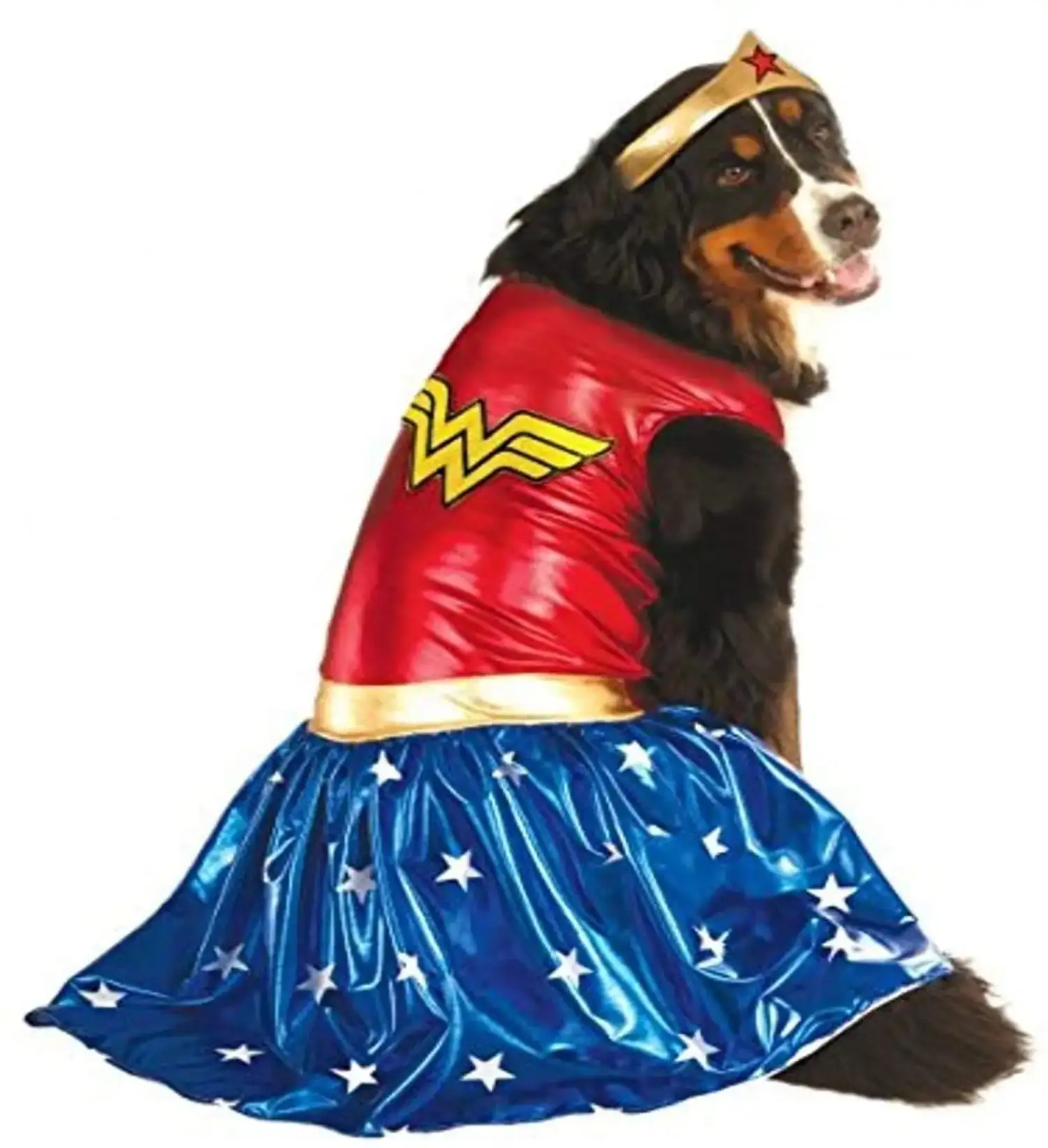 Rubie's DC Dog Wonder Woman Big Dog Costume