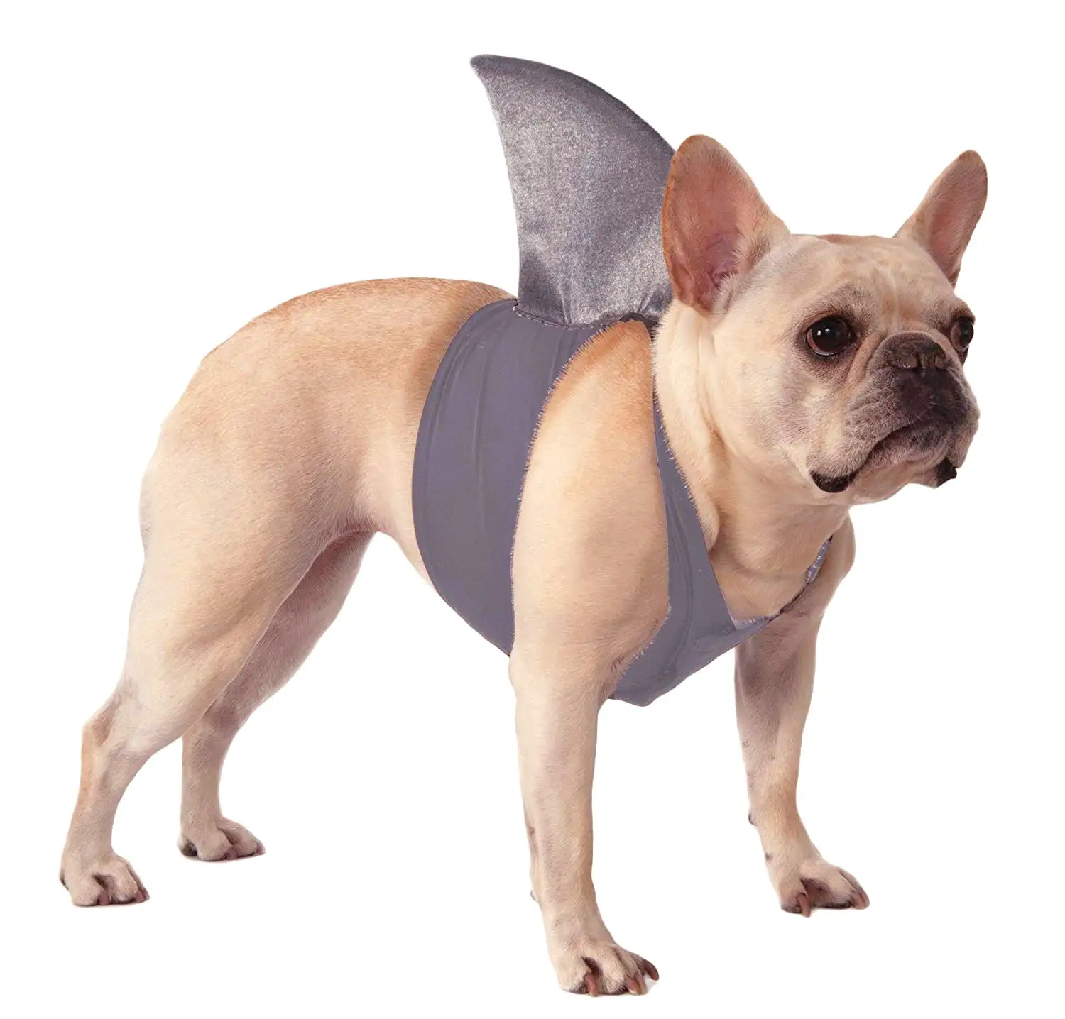 Rubie's Shark Fin Pet Costume Accessory