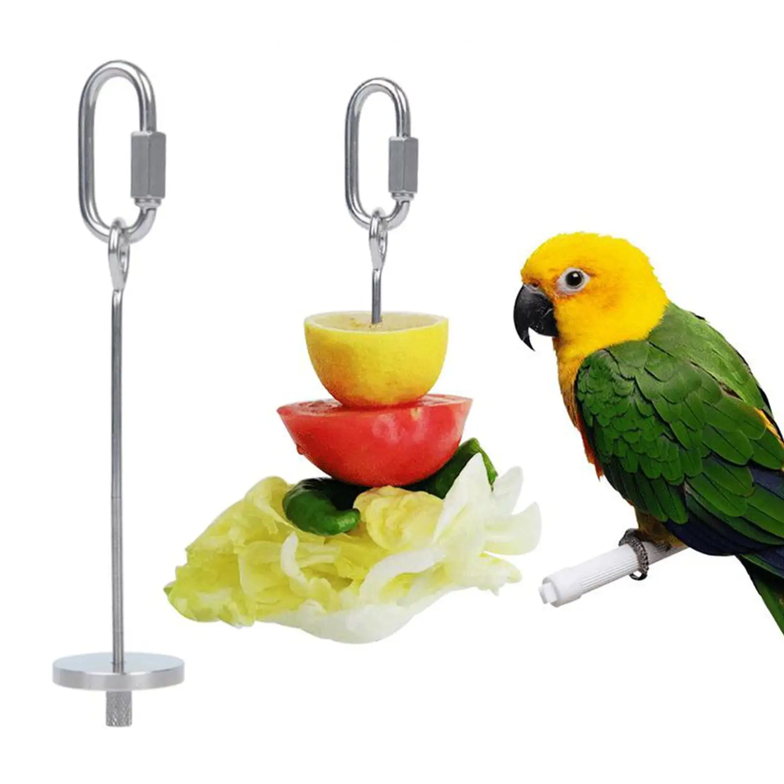 SPRING PARK Portable Stainless Steel Bird Parrot Cage Skewer Food Meat Stick Spear Fruit Holder