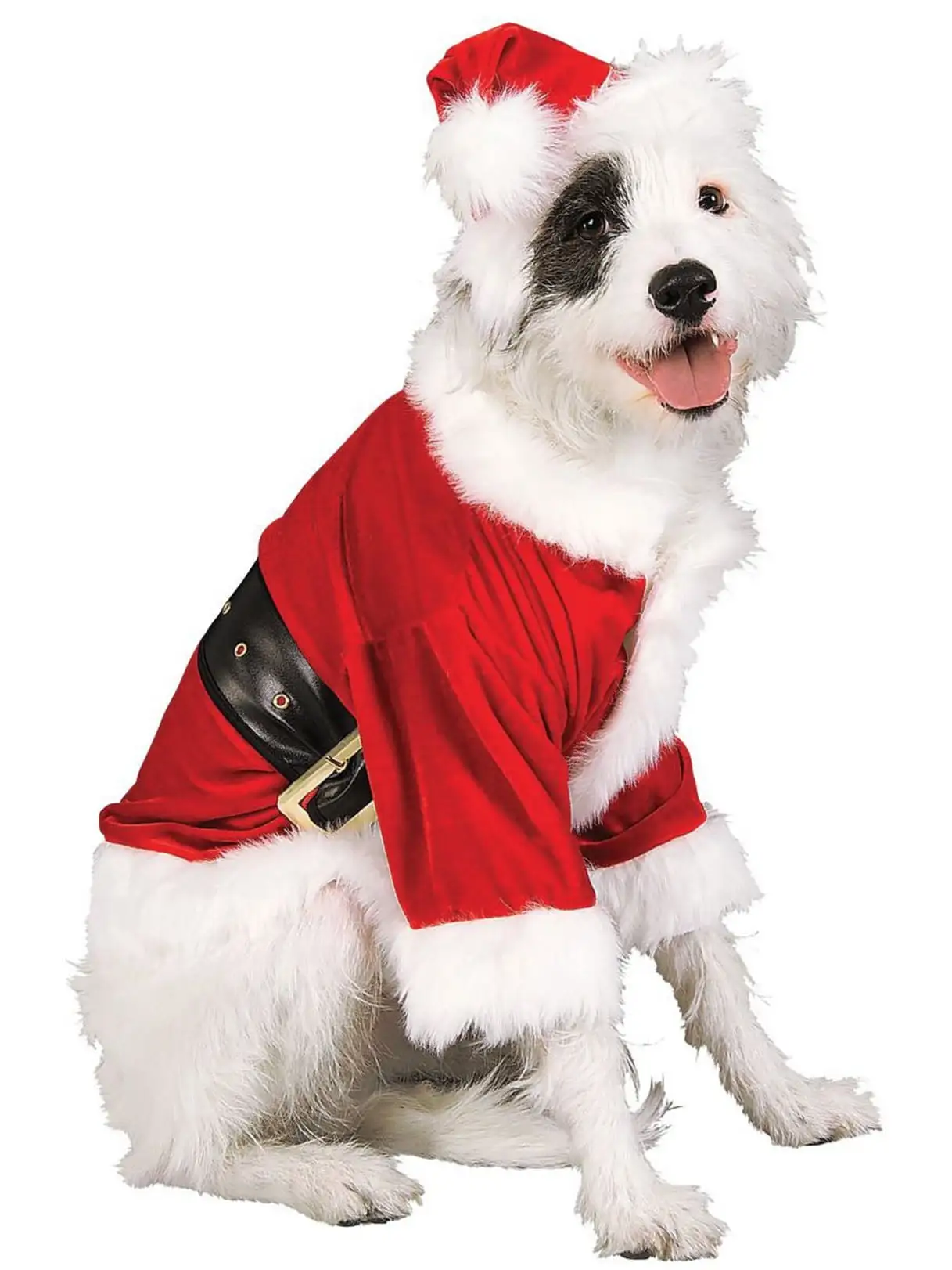 Santa Claus Pet Costume