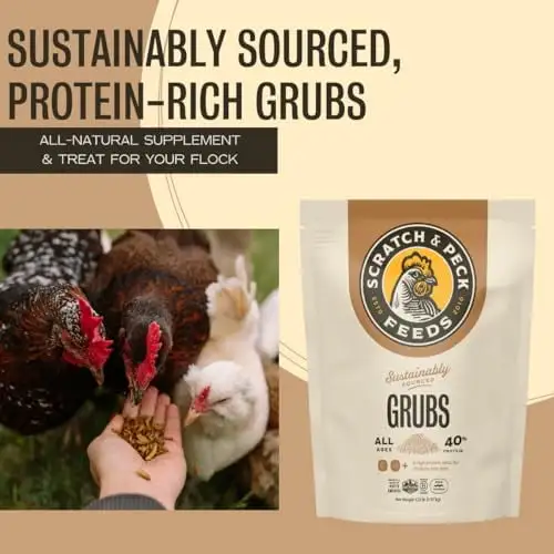 Scratch and Peck Feeds Cluckin' Good Grubs for Chickens - Sustainably Grown in North America - Natural High Protein. Calcium Dense - Dried Black Soldier Fly Larvae Bird Treats - 1.25-lbs