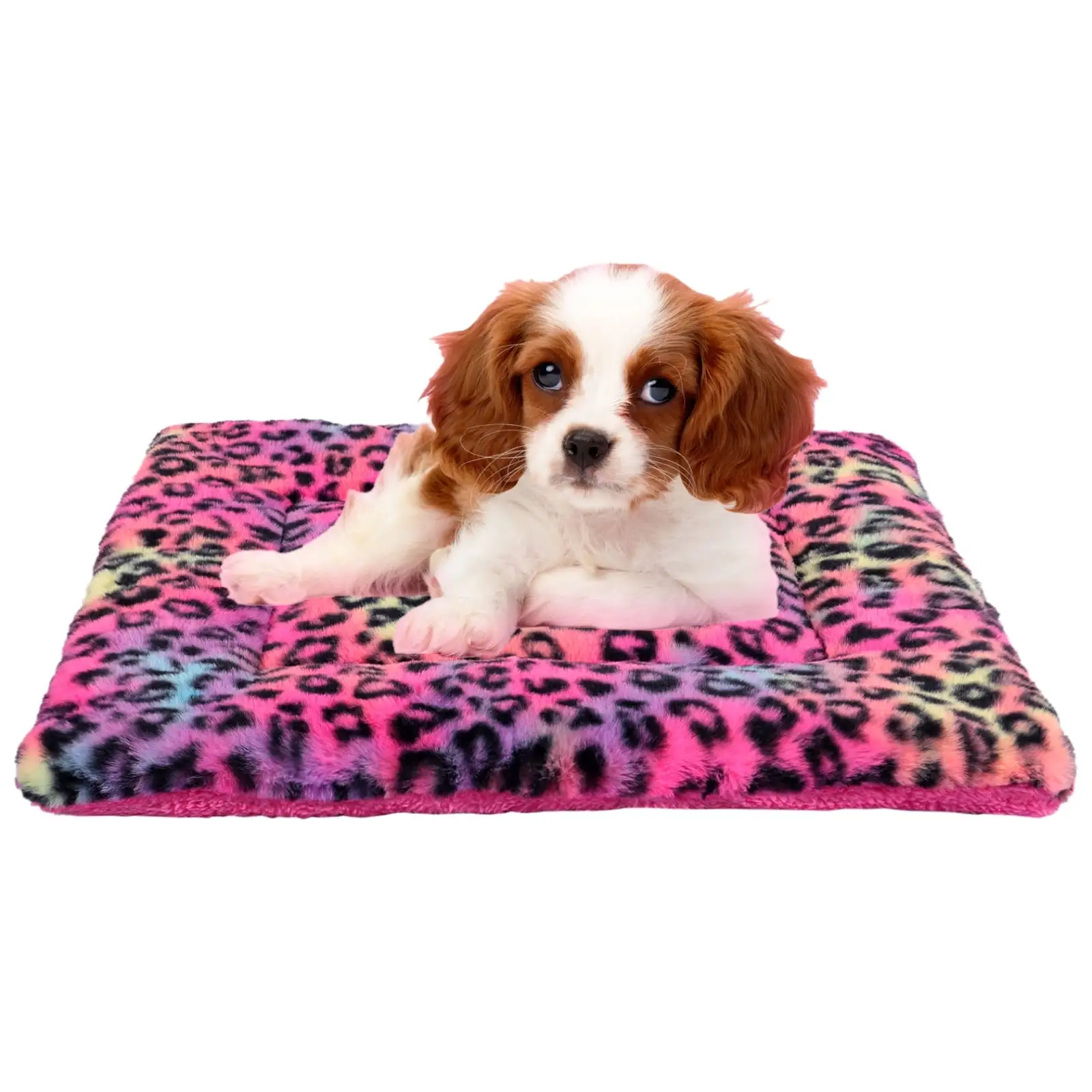 Sennaux Pet Bed Crate Mat Reversible Pad for Cats Dogs Leopard Pattern. Small. Washable