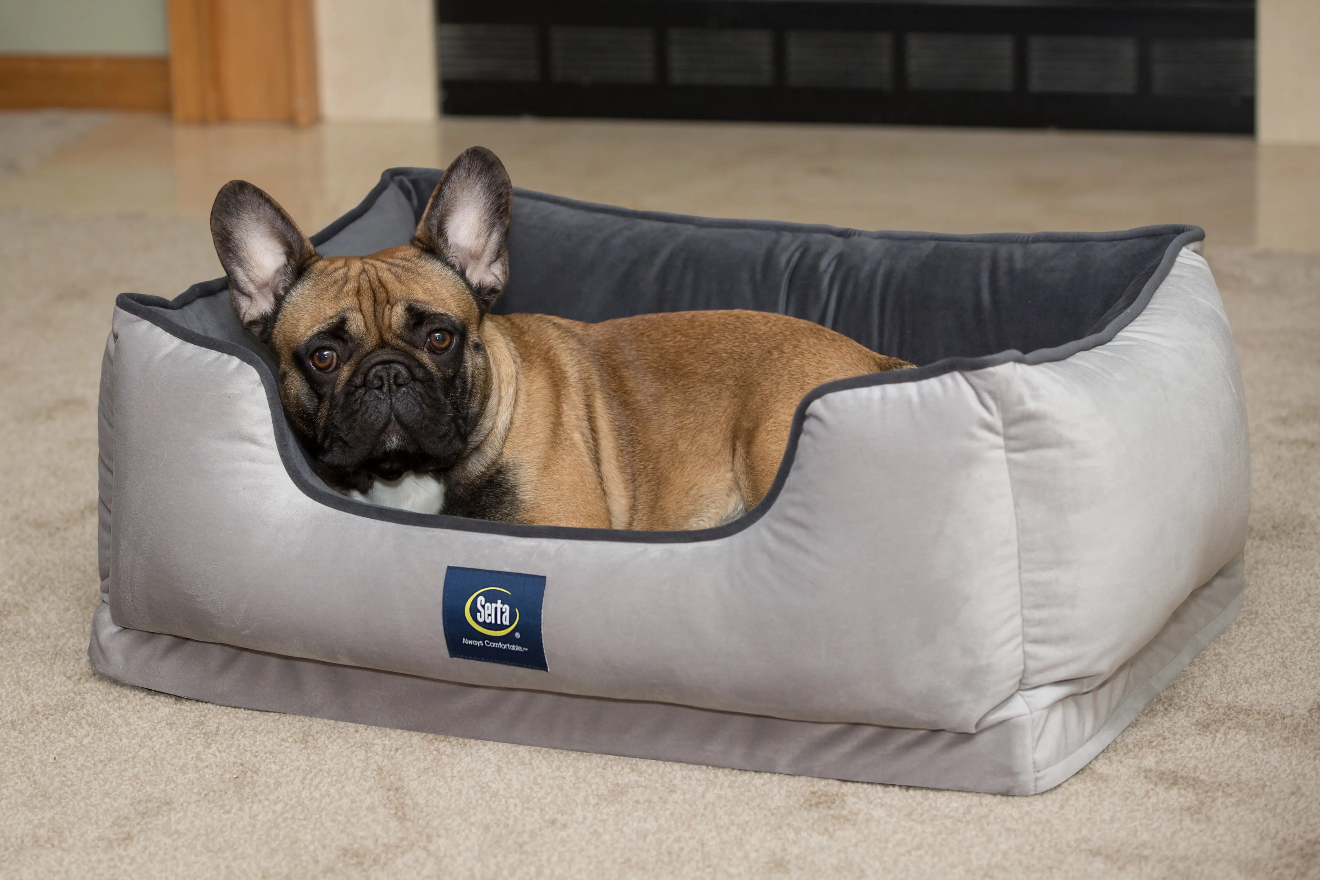 Serta Ortho Cuddler Pet Bed. Large