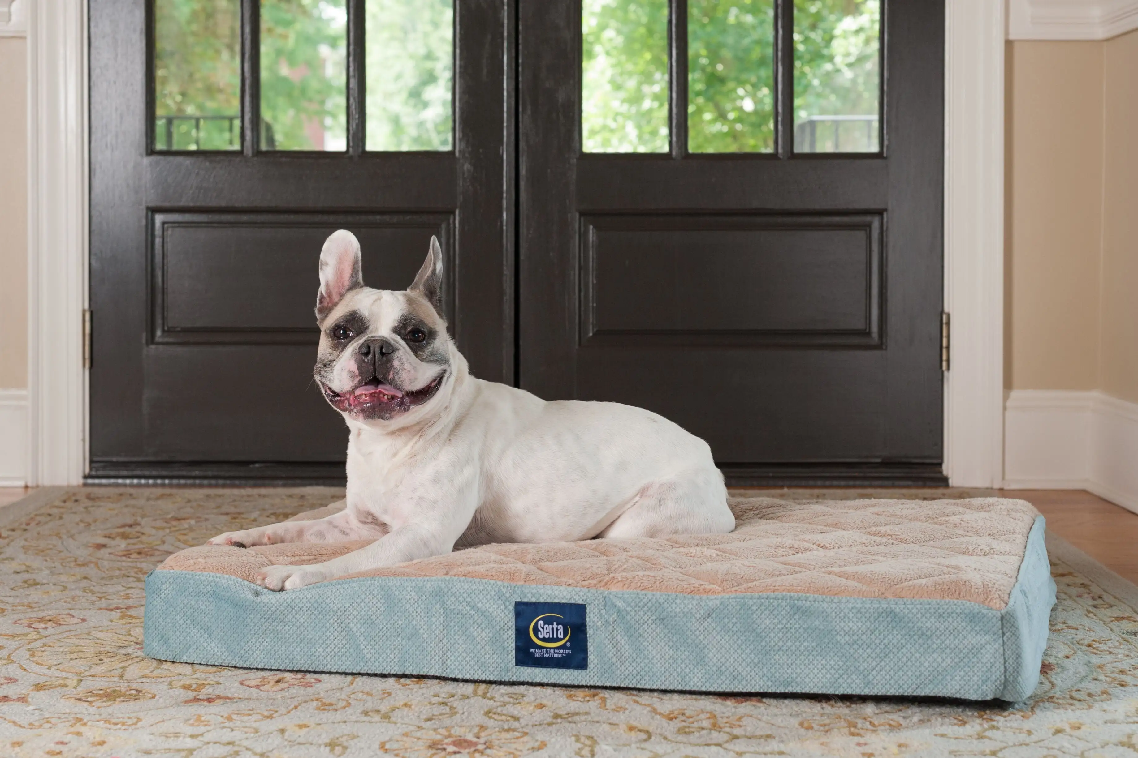 Serta Ortho Quilted Pillow Top Pet Dog Bed. Large Blue