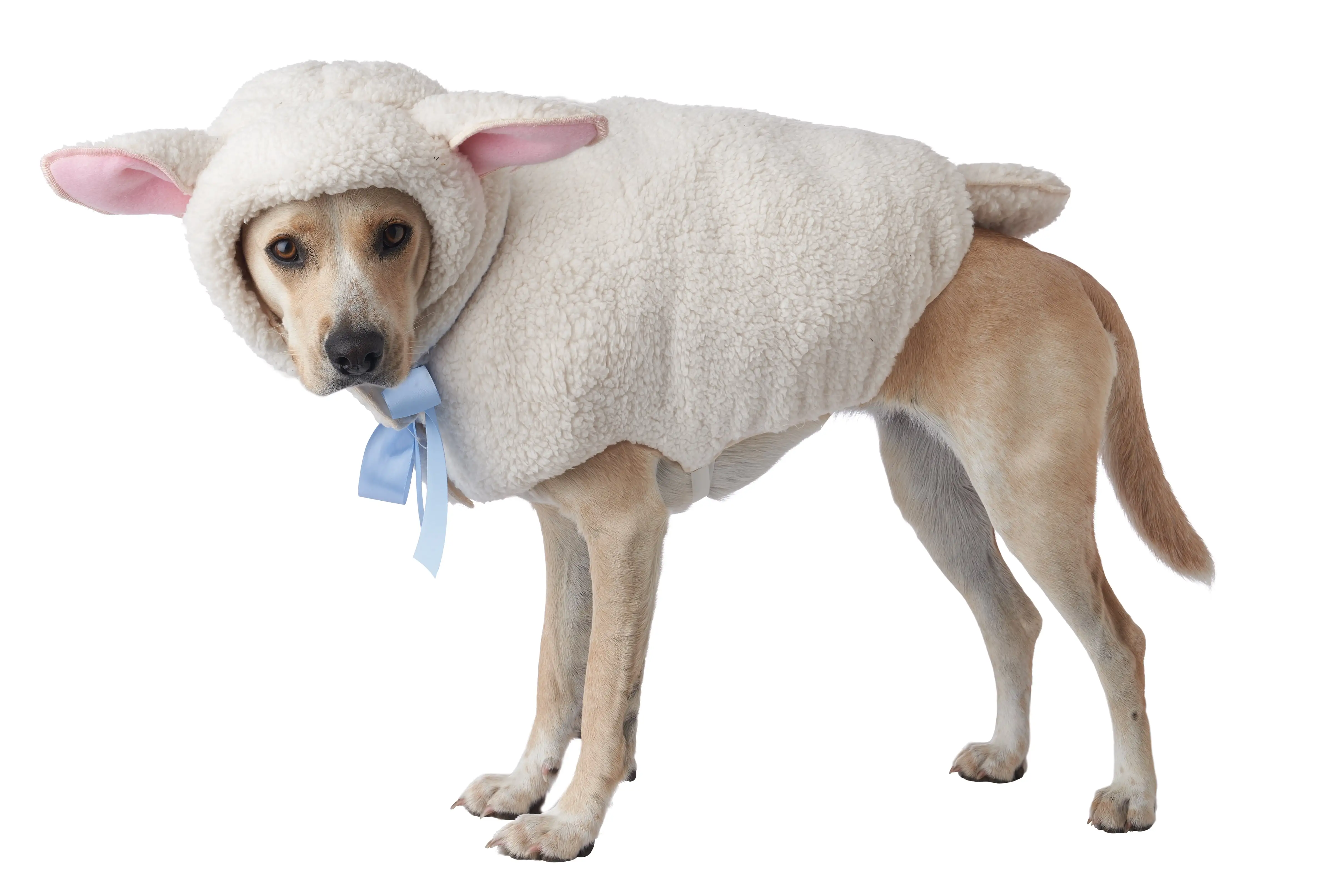 Sheep Dog Pet Costume Medium