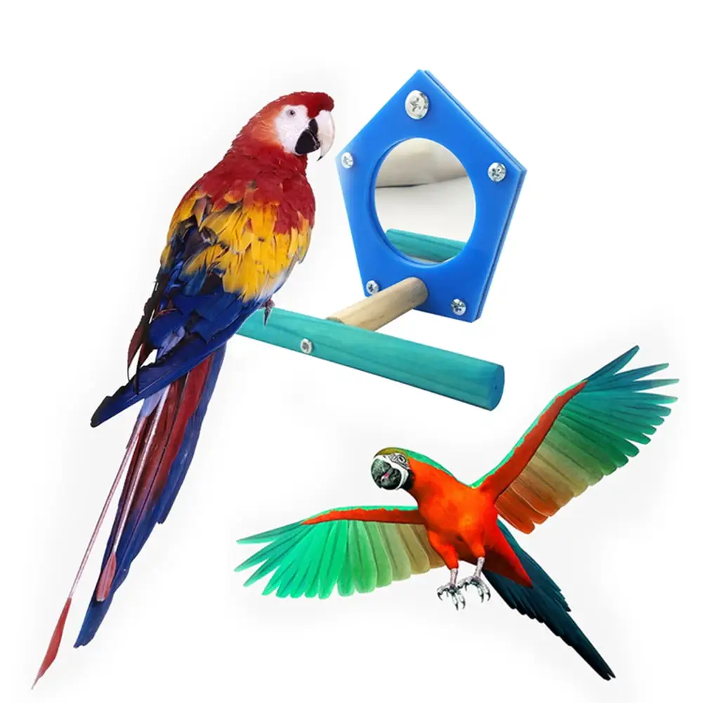 Shulemin Wooden Funny Pet Bird Parrot Parakeet Mirror Play Toy Cage Stand Bar Perch Decor.Blue