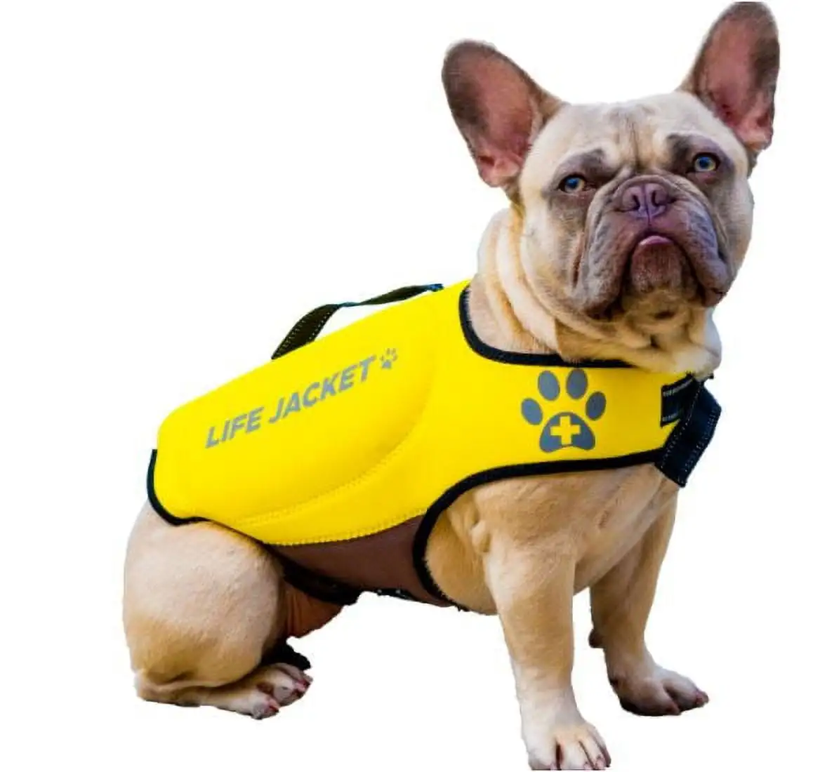 Silver Pooch Yellow Neoprene Pet Life Jacket (X-Small)