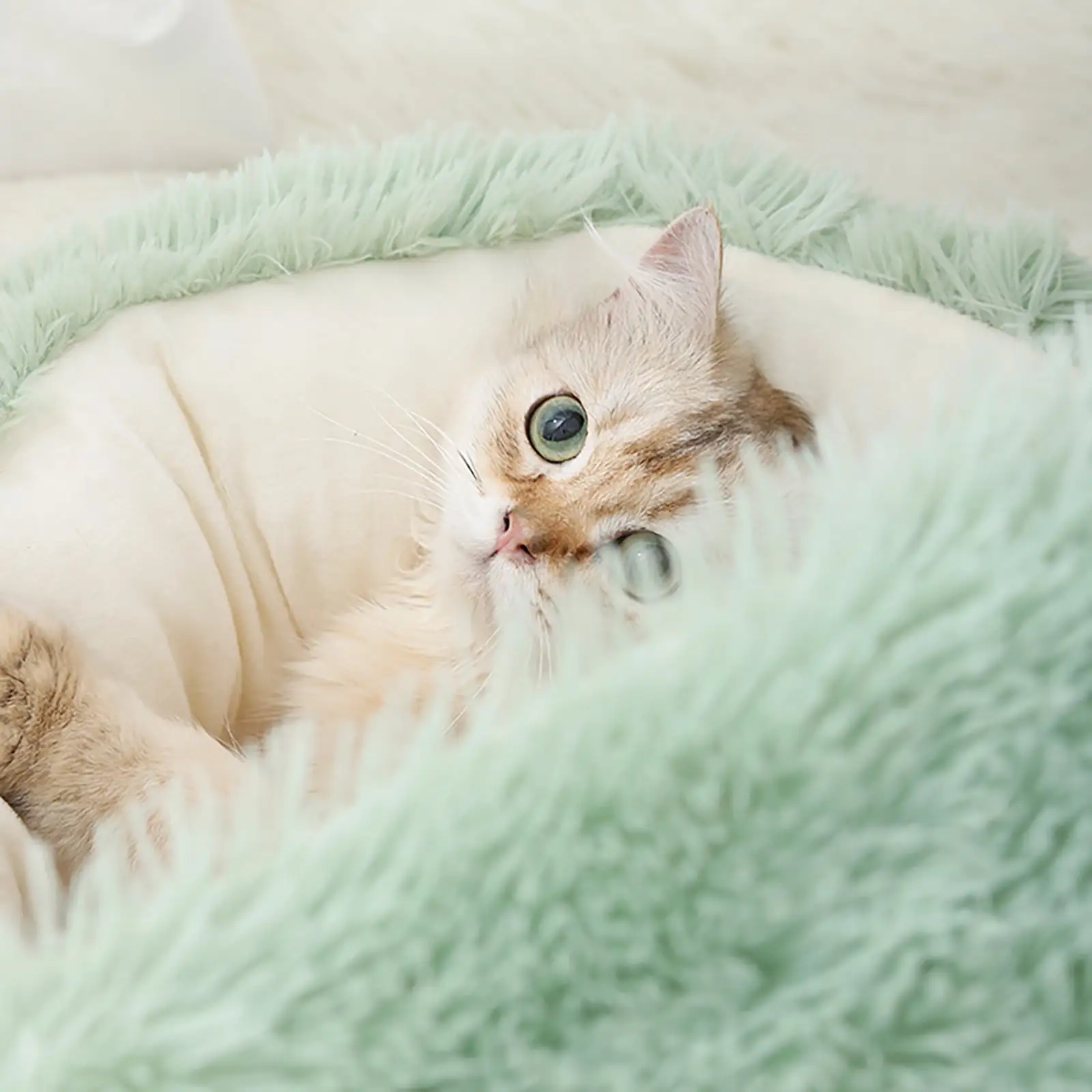 Small Dog Beds Pet Beds Clearance Dog Round Winter Warm Sleeping Bag Long Plush Soft Pet Bed Calming Bed Cat Tunnel Bed