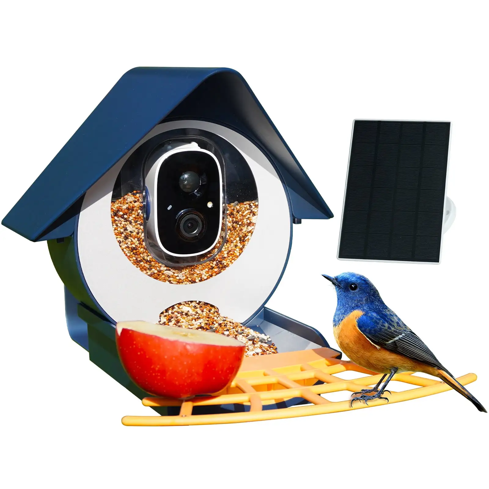 Smart Bird Feeder with Camera. Birdkiss Outdoor Bird Camera with 1080P HD Video. APP Real-Time Notifications. AI Identify Bird. WiFi Connection & Solar Panel. Blue