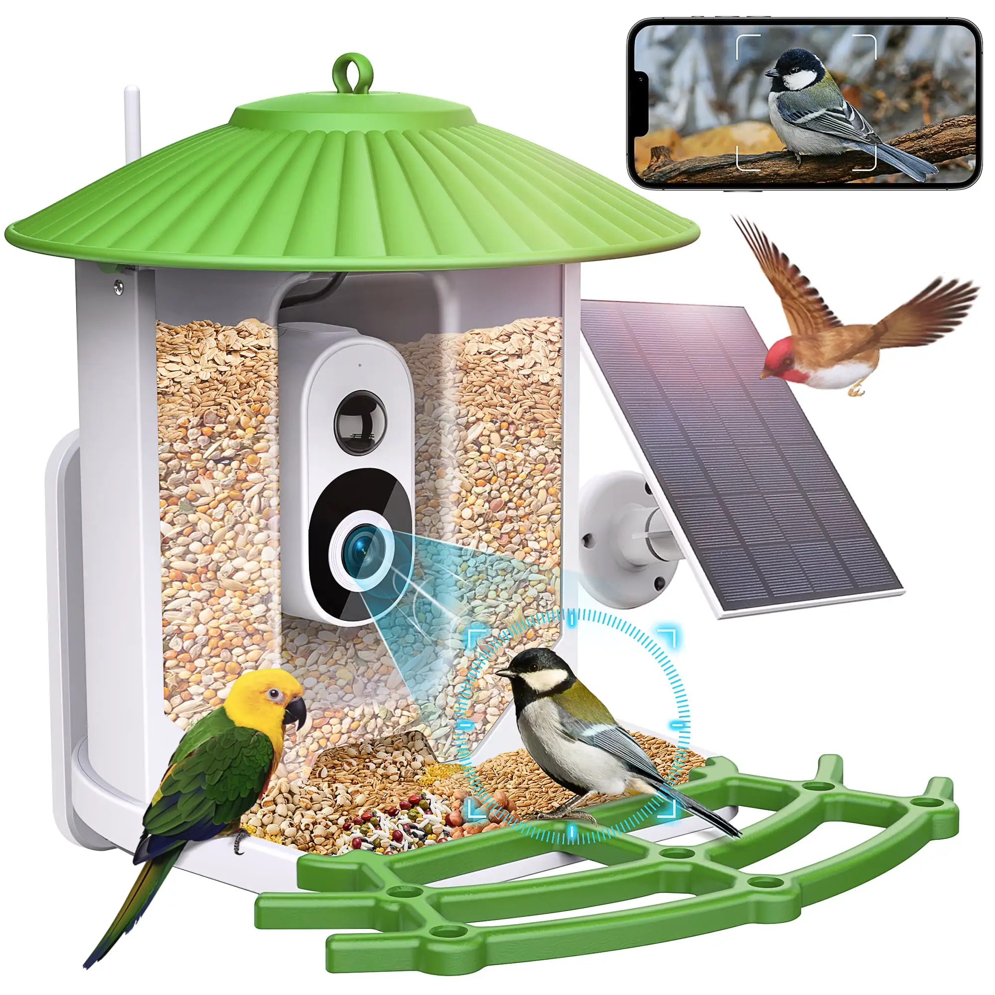 Smart Bird Feeder with Camera. Wireless Outdoor Bird Feeder W/ Solar Panel. 2k HD Wild Bird Camera. AI Identify Bird Species Auto Capture Bird Videos & Instant Notifications. Ideal Gift for Bird Lover